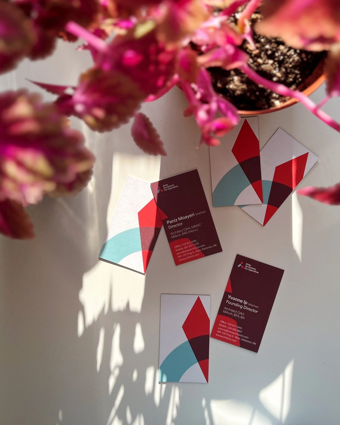 The sun is shining in the studio and our new business cards are in!

#AriseArchitects #WorkerOwned #ArchitectsCooperative #CommunityLed #CollaborativeDesign #DesignForEquity #InclusiveArchitecture #DesignJustice #SustainableArchitecture #Architecture