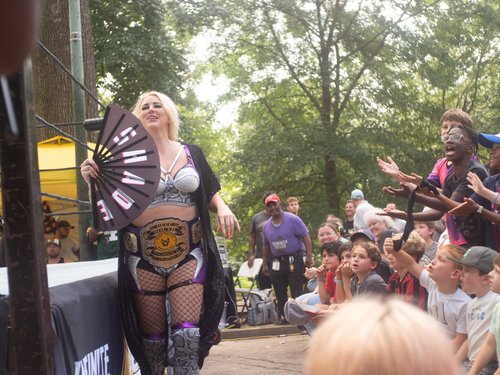 Deep South Wrestling event photo