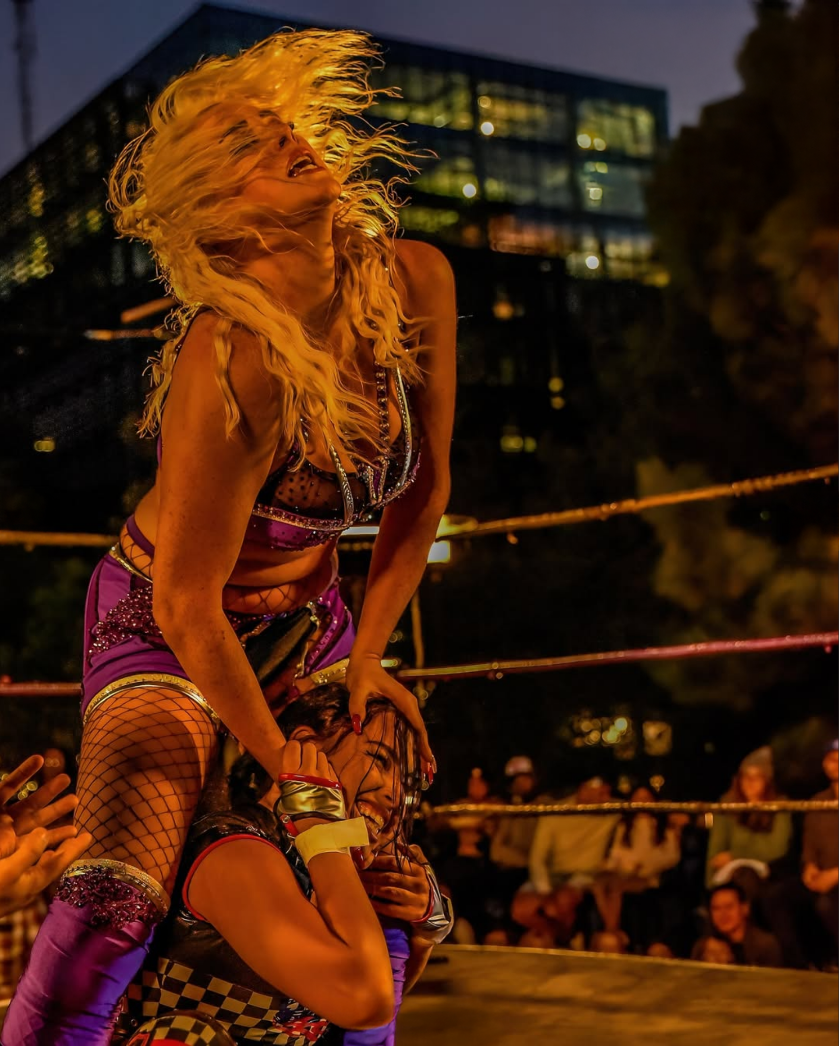 DeepSouthWrestling_110.png