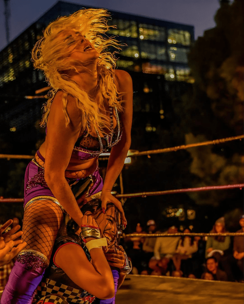Deep South Wrestling event photo