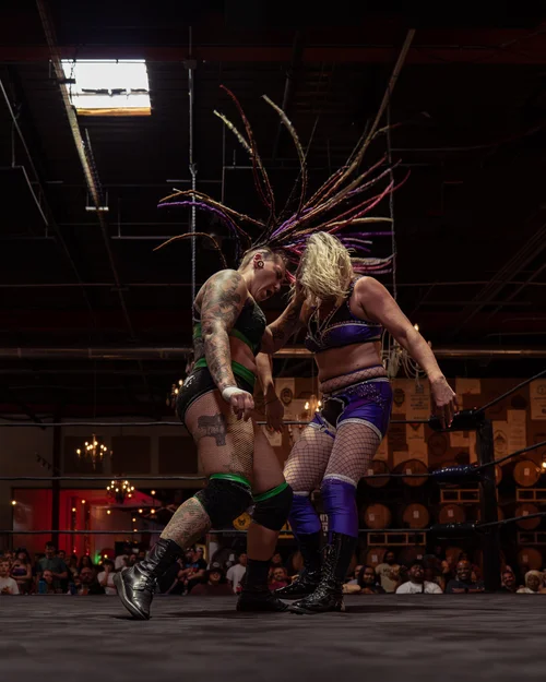 Deep South Wrestling event photo