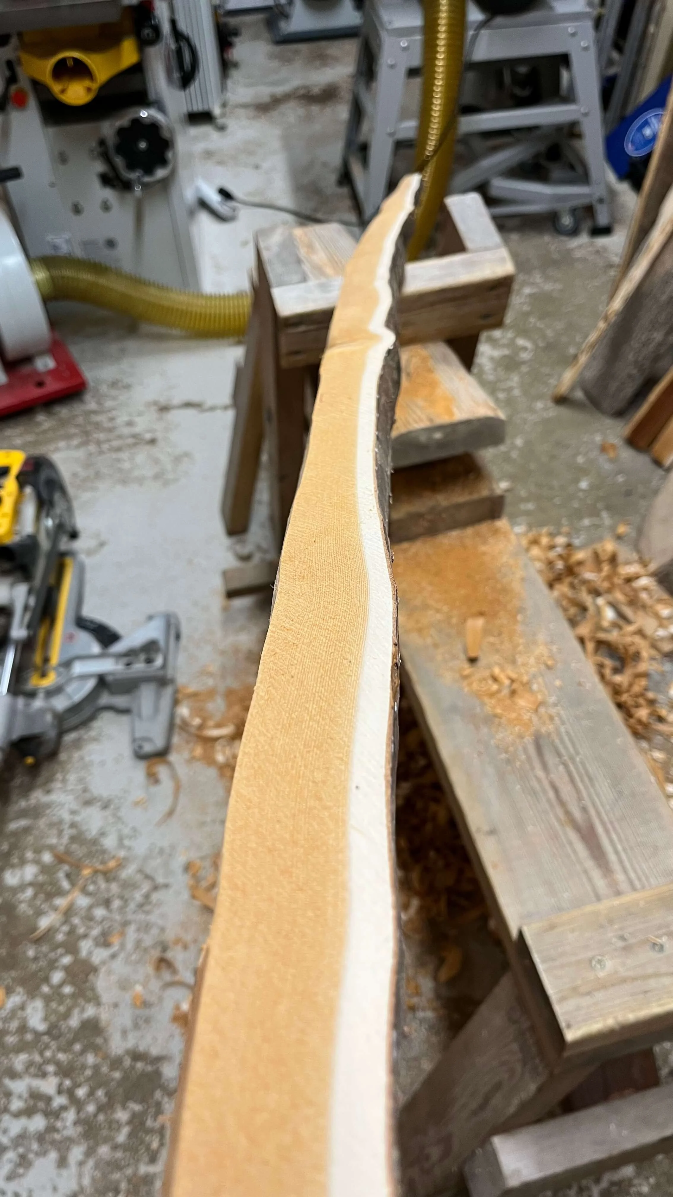 A Pacific yew bow stave clamped to a workbench in a workshop, with woodworking tools and sawdust surrounding it.