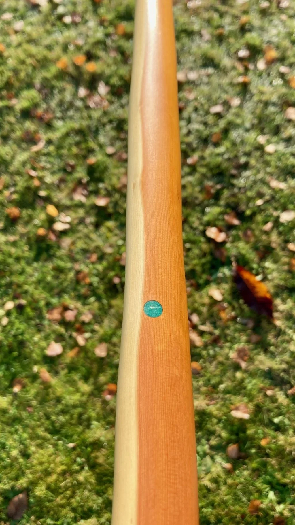 RedStringBows : The Collection