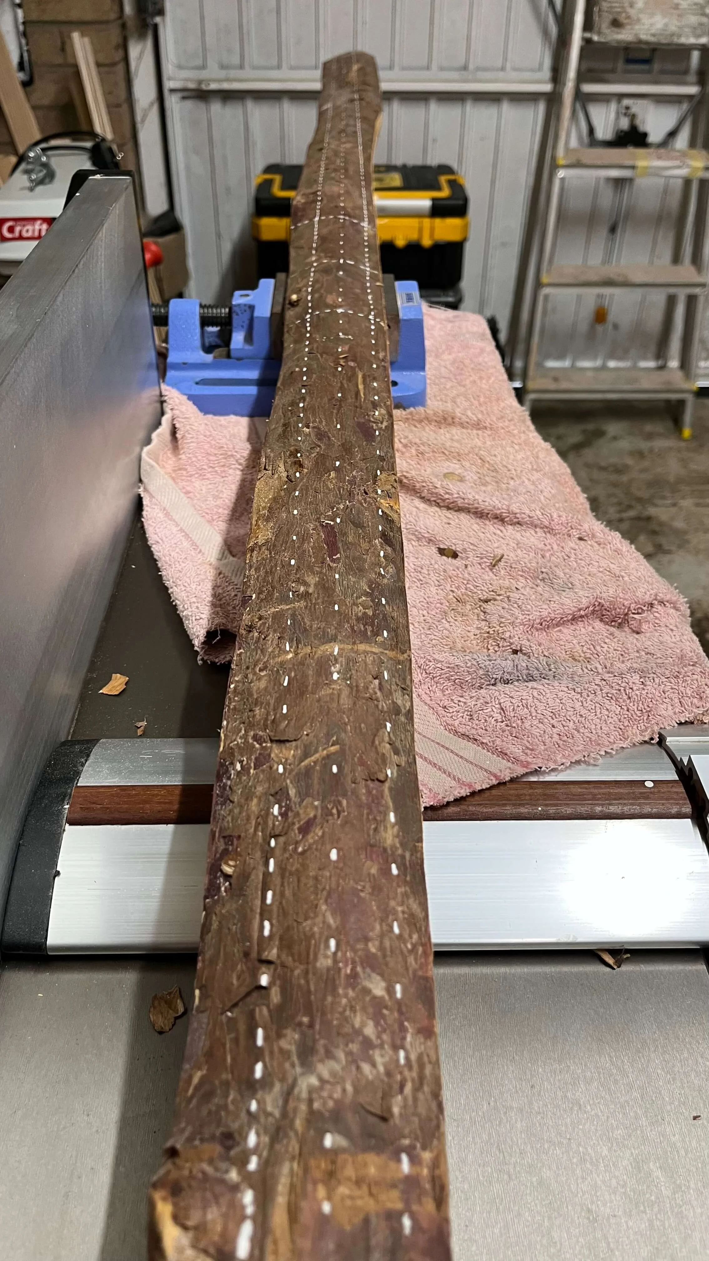 A pacific yew bow stave marked out with a template of a bow ready to cut down to size.