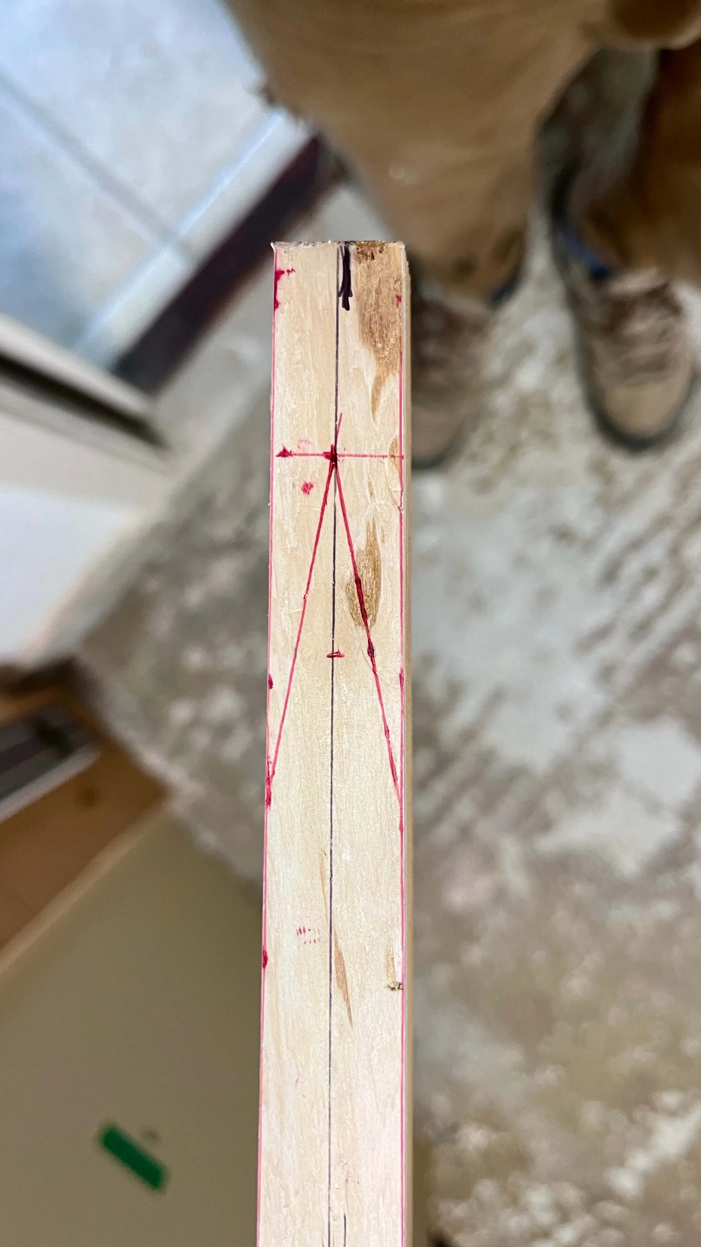 Close-up of the sapwood of a yew bow stave showing a marked profile ready to cup for the nock tapers.