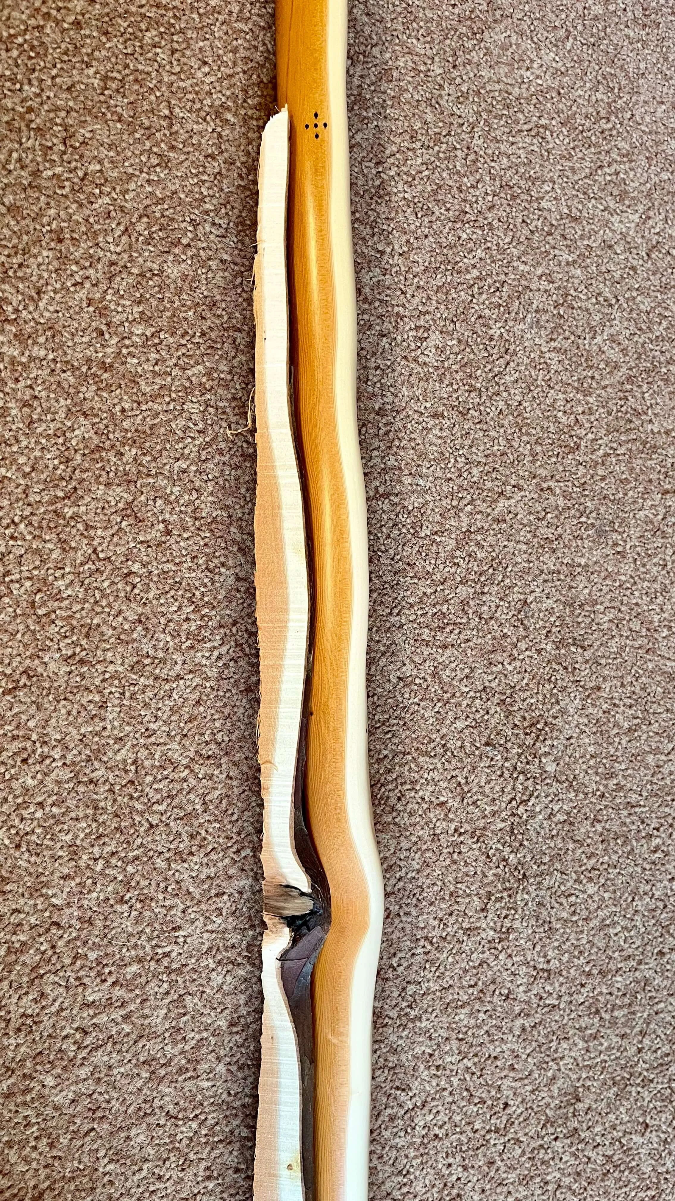 Slices of wood showing cross sections of the yew stave showing 'before and after'.
