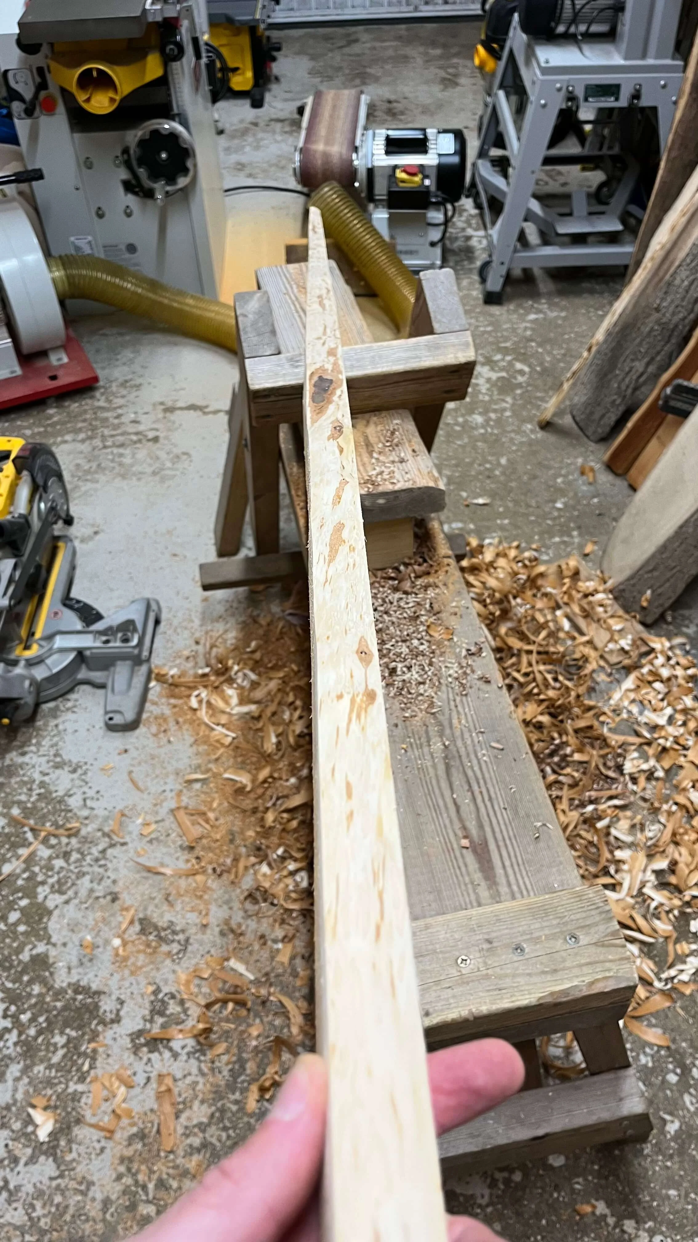 A woodworking scene with Pacific yew bow stave clamped to a workbench, surrounded by wood shavings and woodworking tools in a workshop.