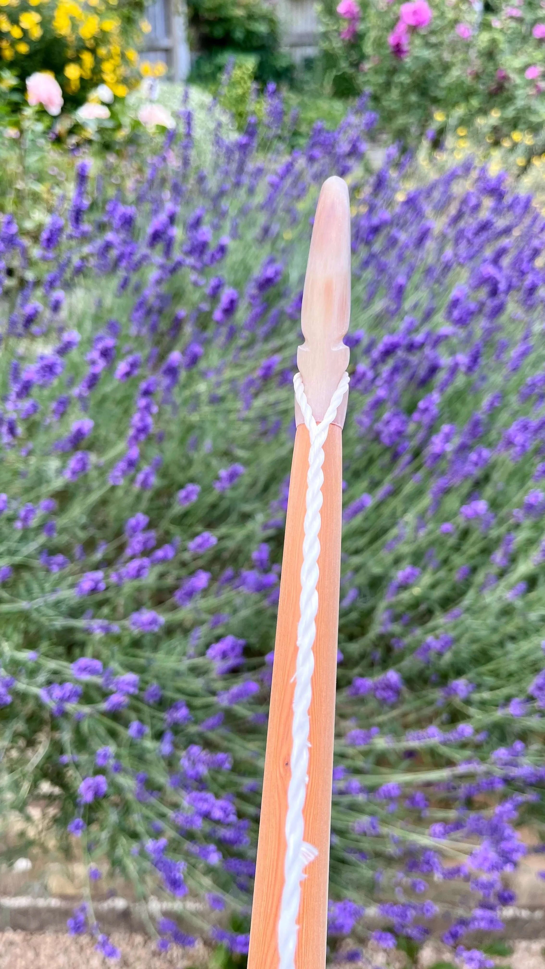 Close-up of the reverse profile of a Pacific yew English longbow with horn nock on a strung bow.