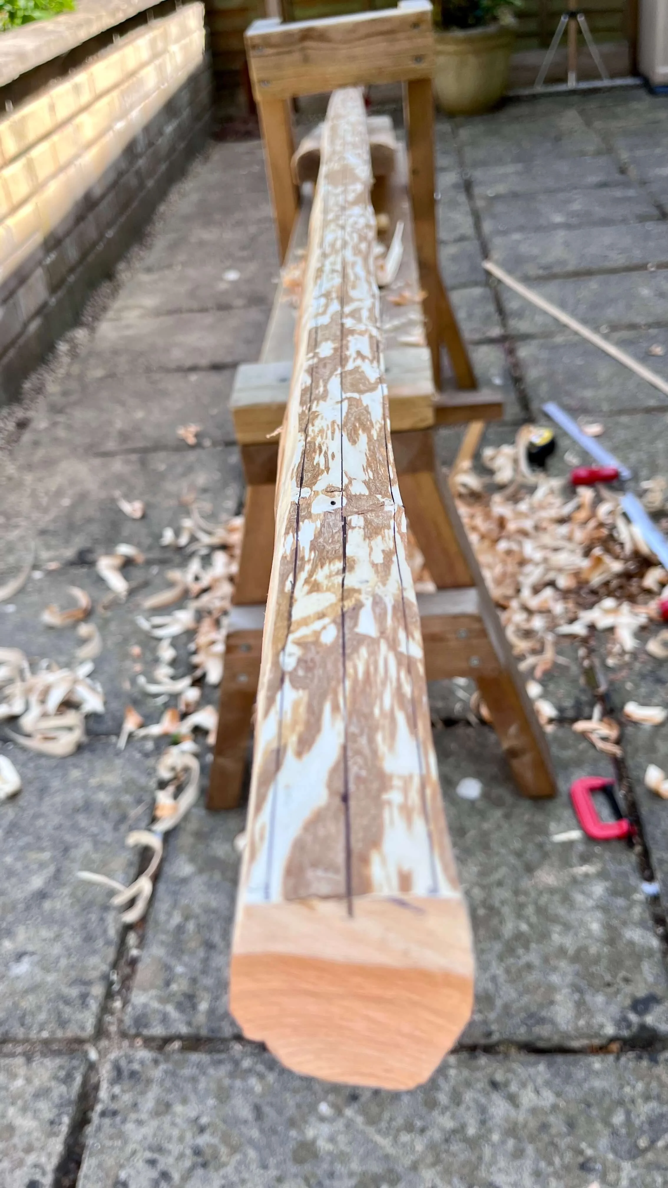A roughed-out Pacific yew bow stave part way through having its bark removed rests in a shave horse.