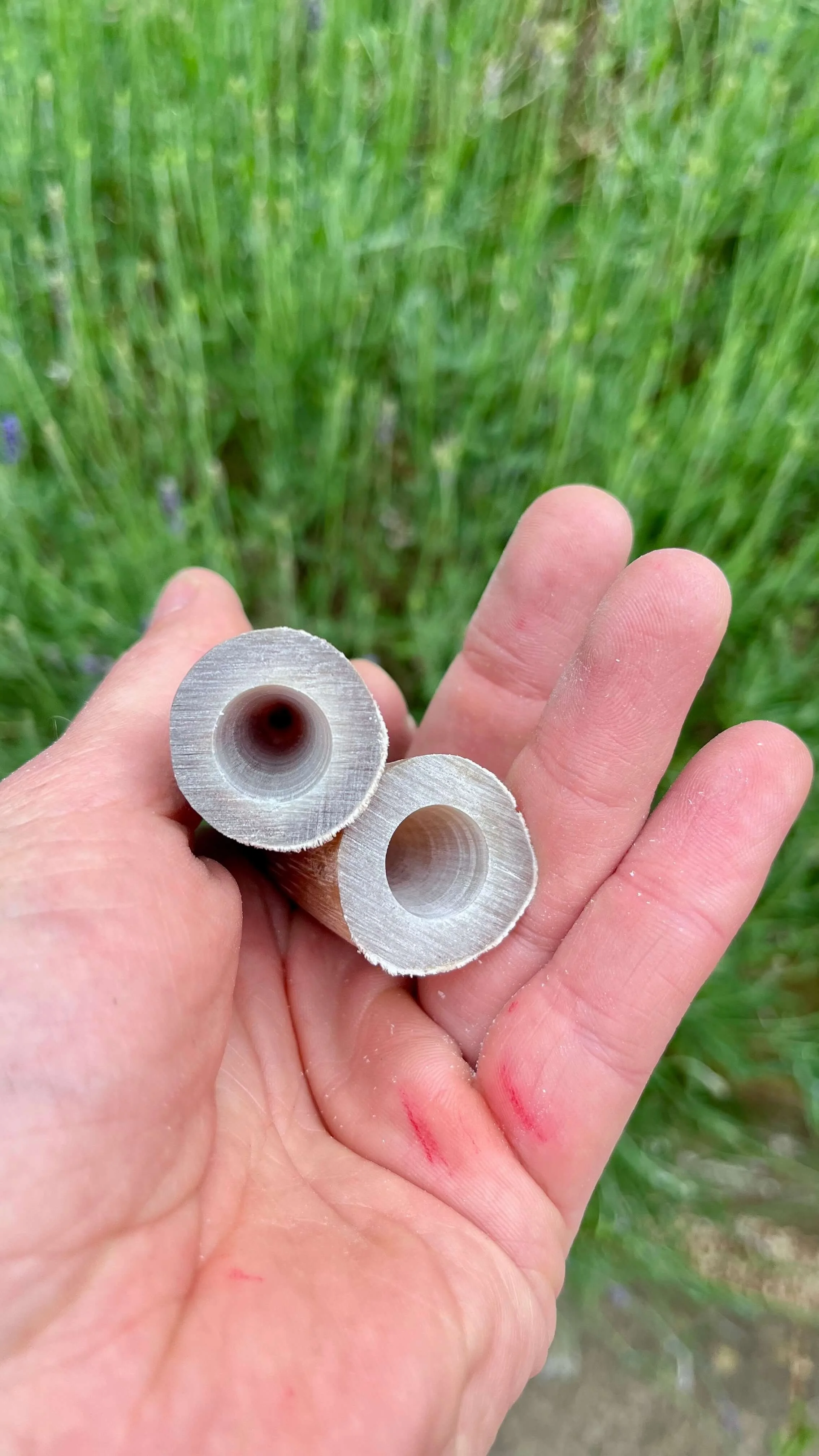 Close-up of two pale, buffalo horn nocks drilled out ready to be fitted.