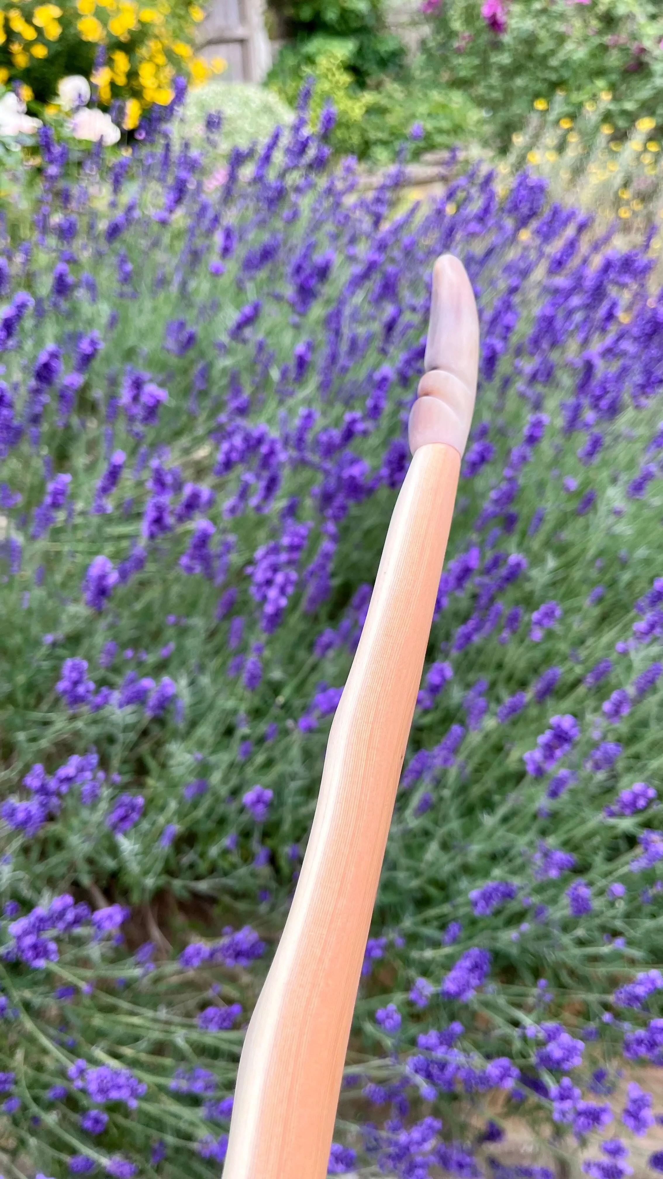 Close-up of the side profile of a Pacific yew English longbow.