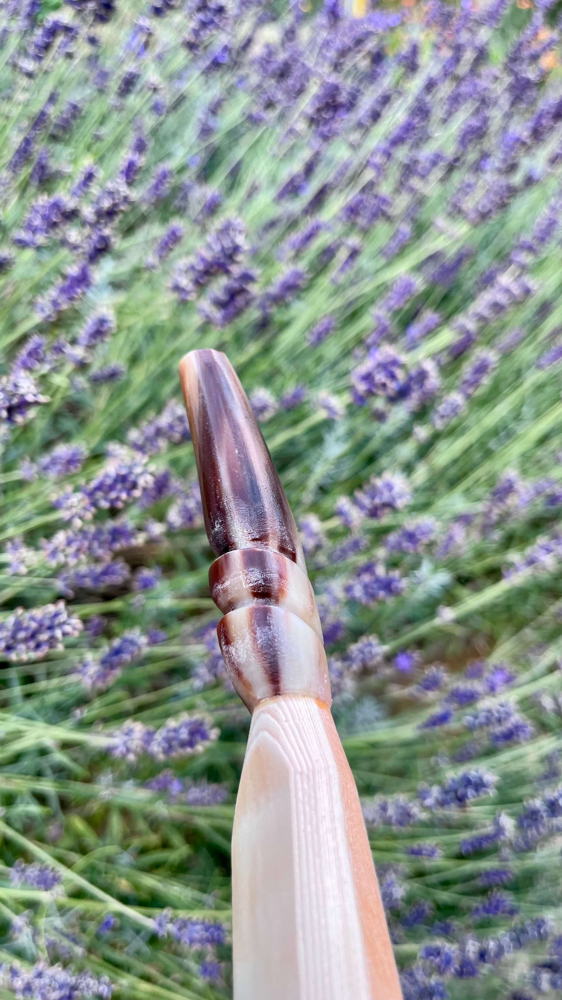 A fitted, streaky buffalo horn nock.