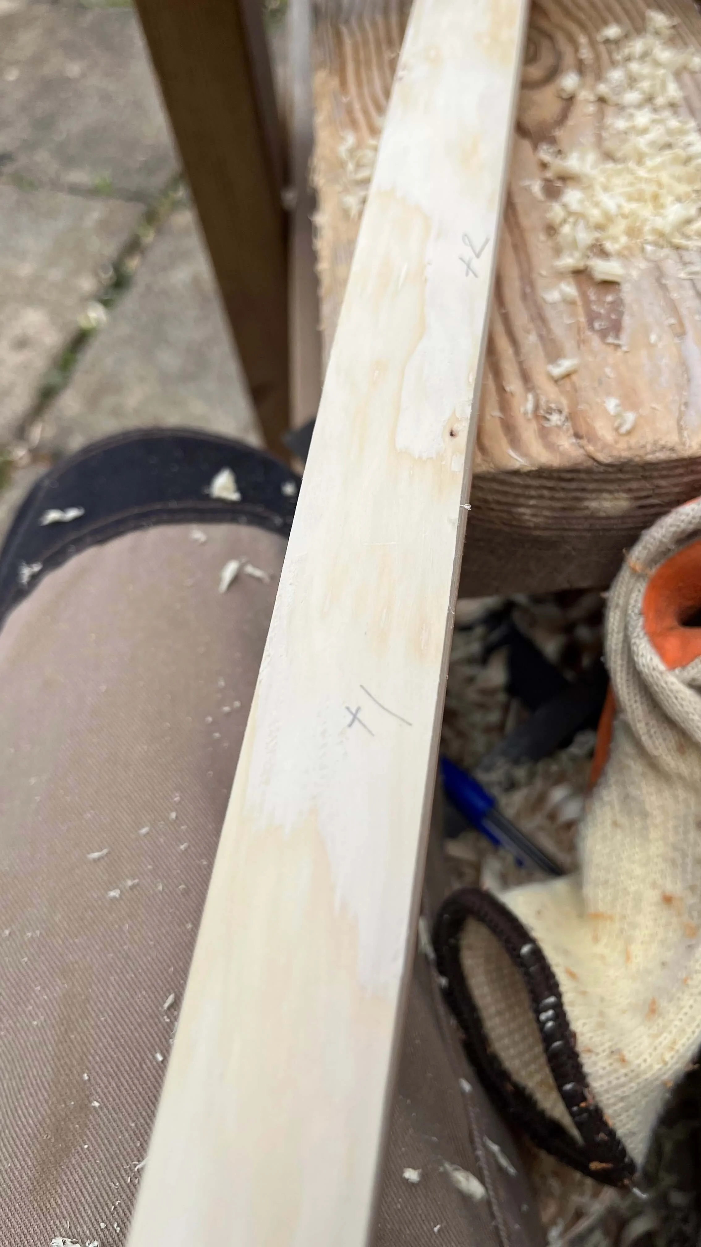 Close-up of the sapwood of a yew bow stave showing a chased growth ring.
