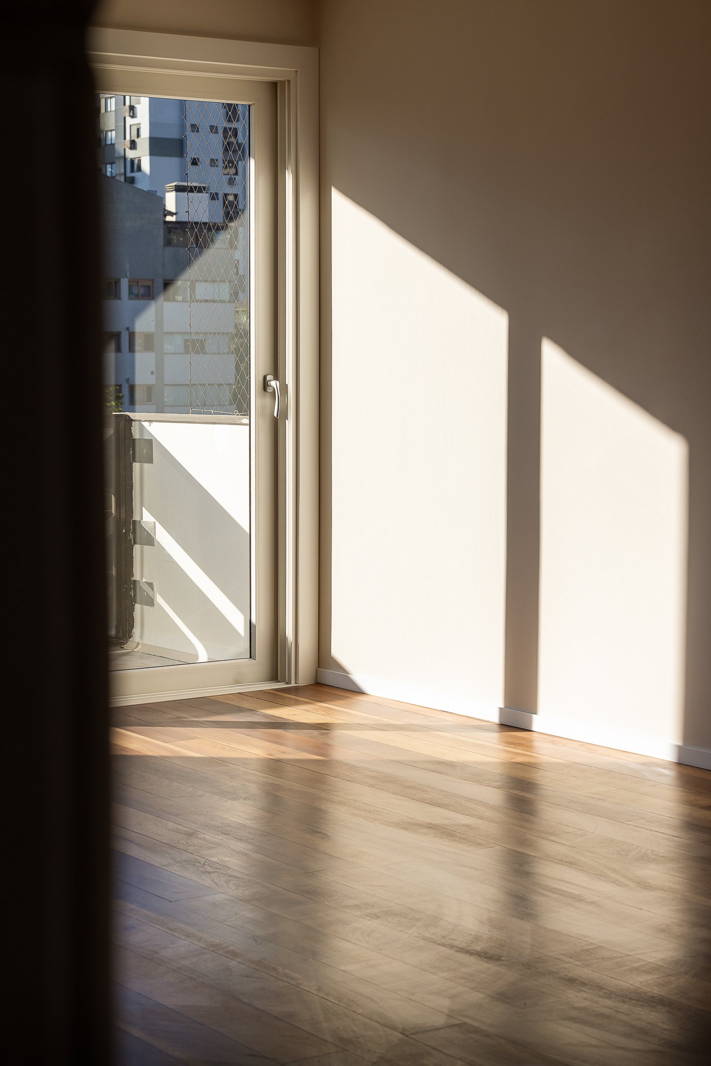 Montpellier - Amper © Alcindo Dedavid. 03.JPG