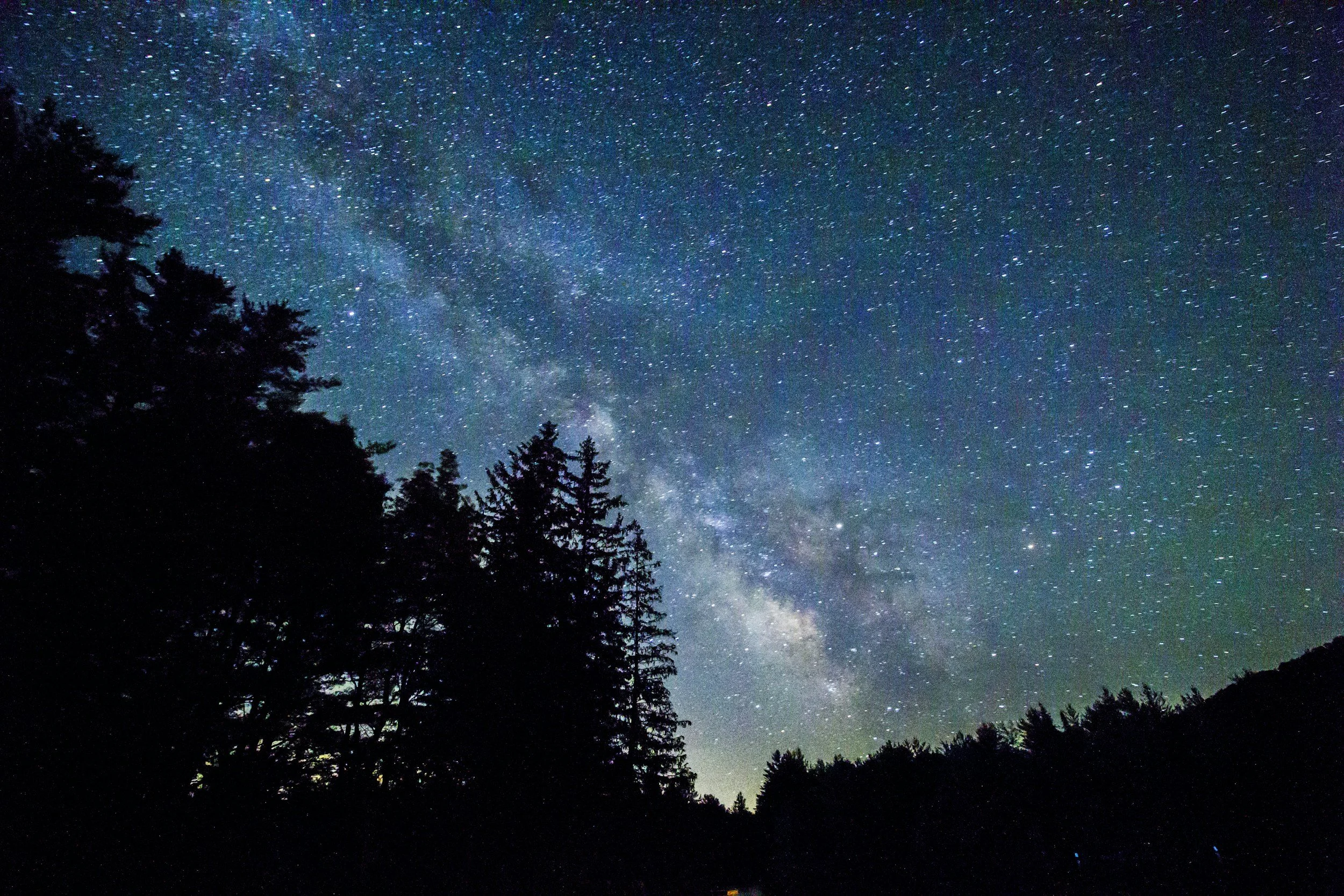 A starry sky with a dark forest in the foreground.