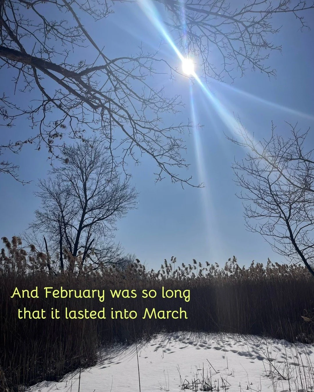 ❄️ 🌾🌞 - dar williams