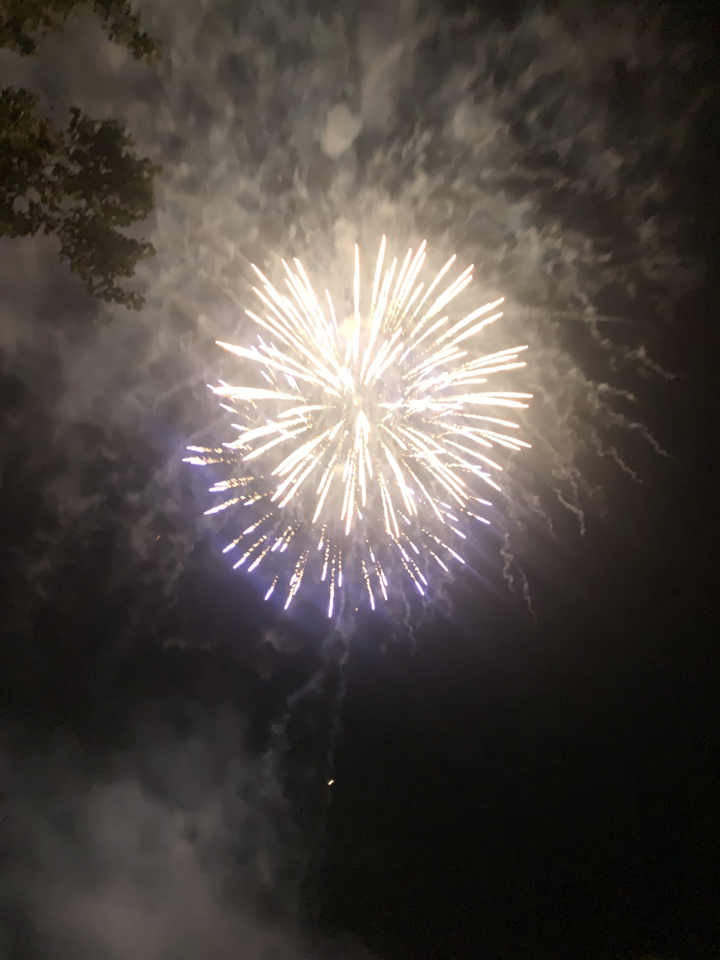 A firework in the night sky