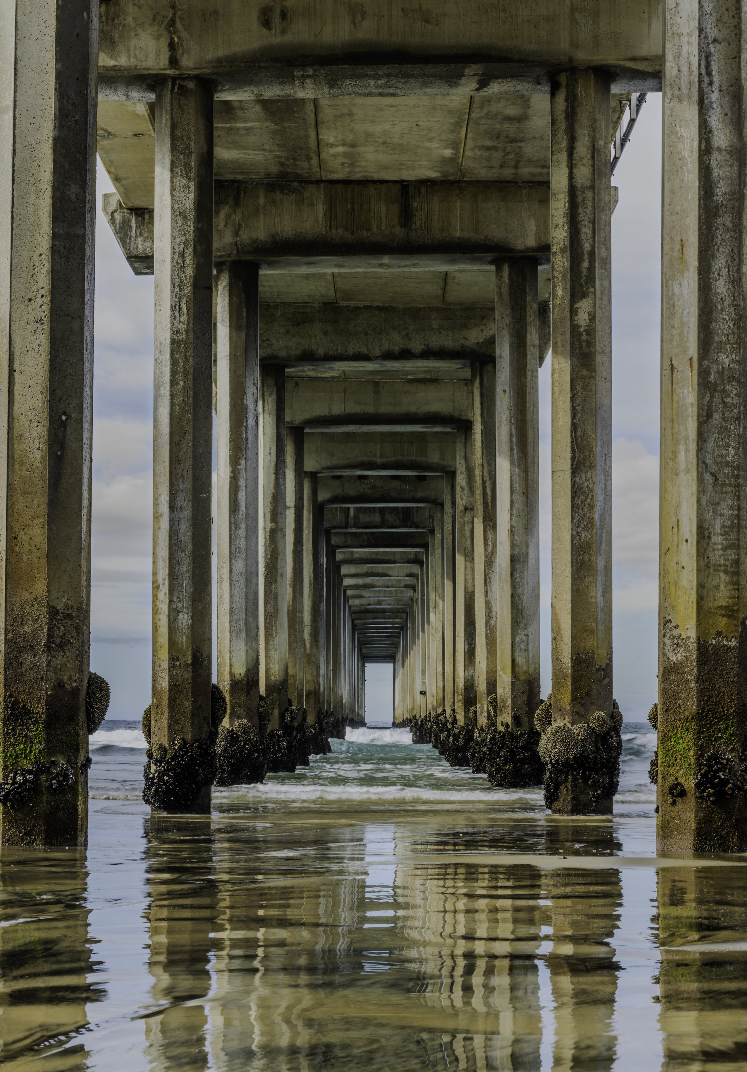 Scripps Pier STN.jpg