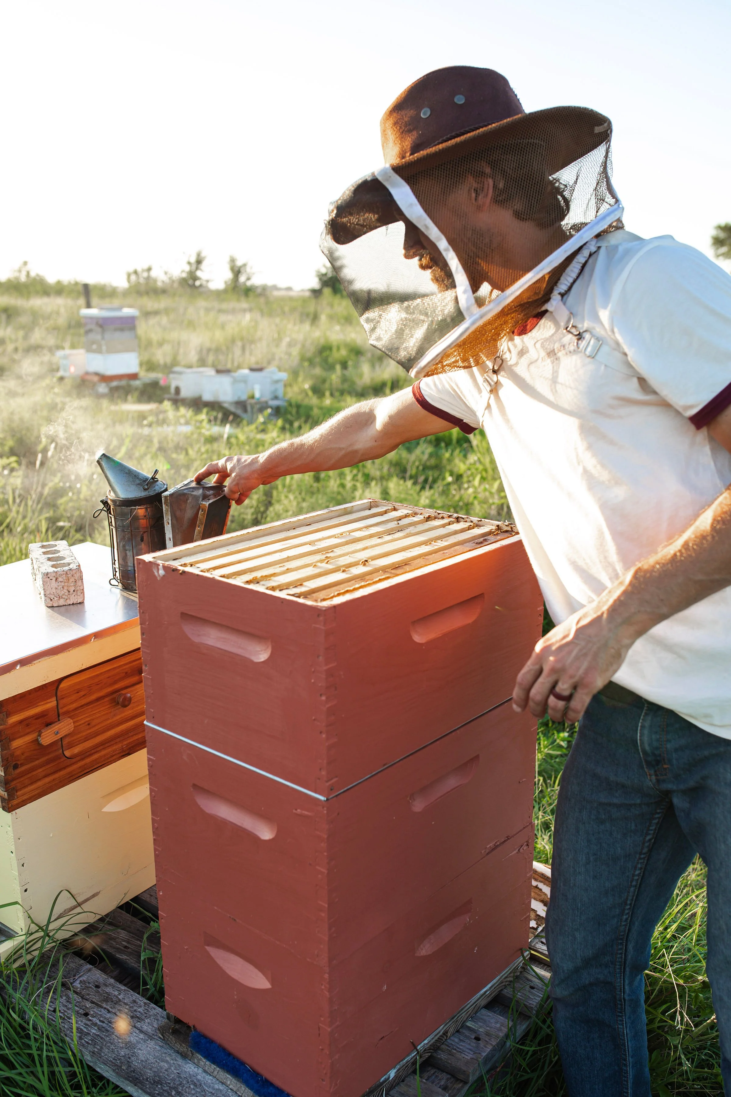 Texas Beekeeping Ag Exemption: Save Thousands on Property Taxes Without the Hard Work