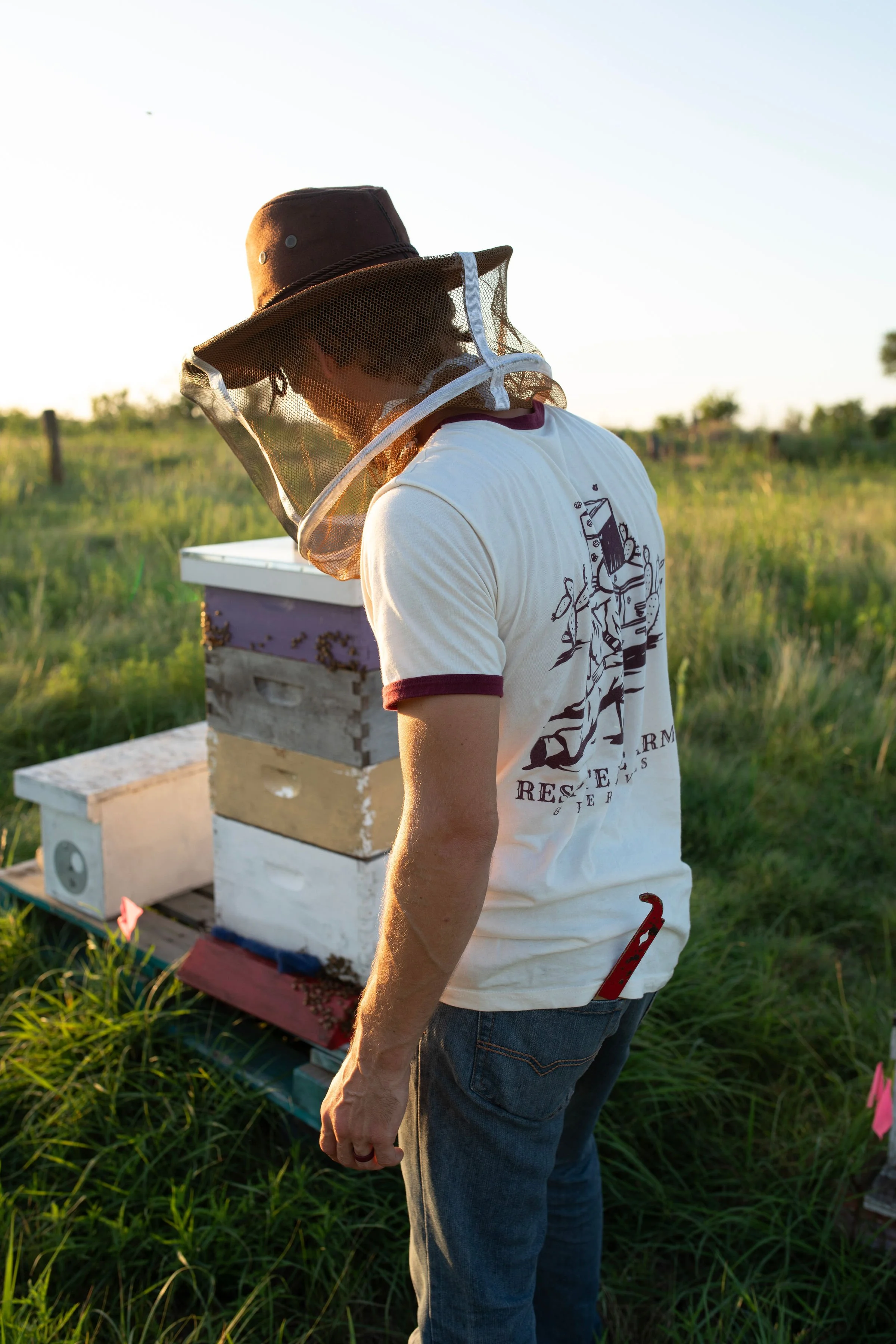 Natural Beekeeping in Central Texas