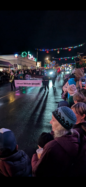 Ladysmith Light Up from Lori (SDs)(1).png