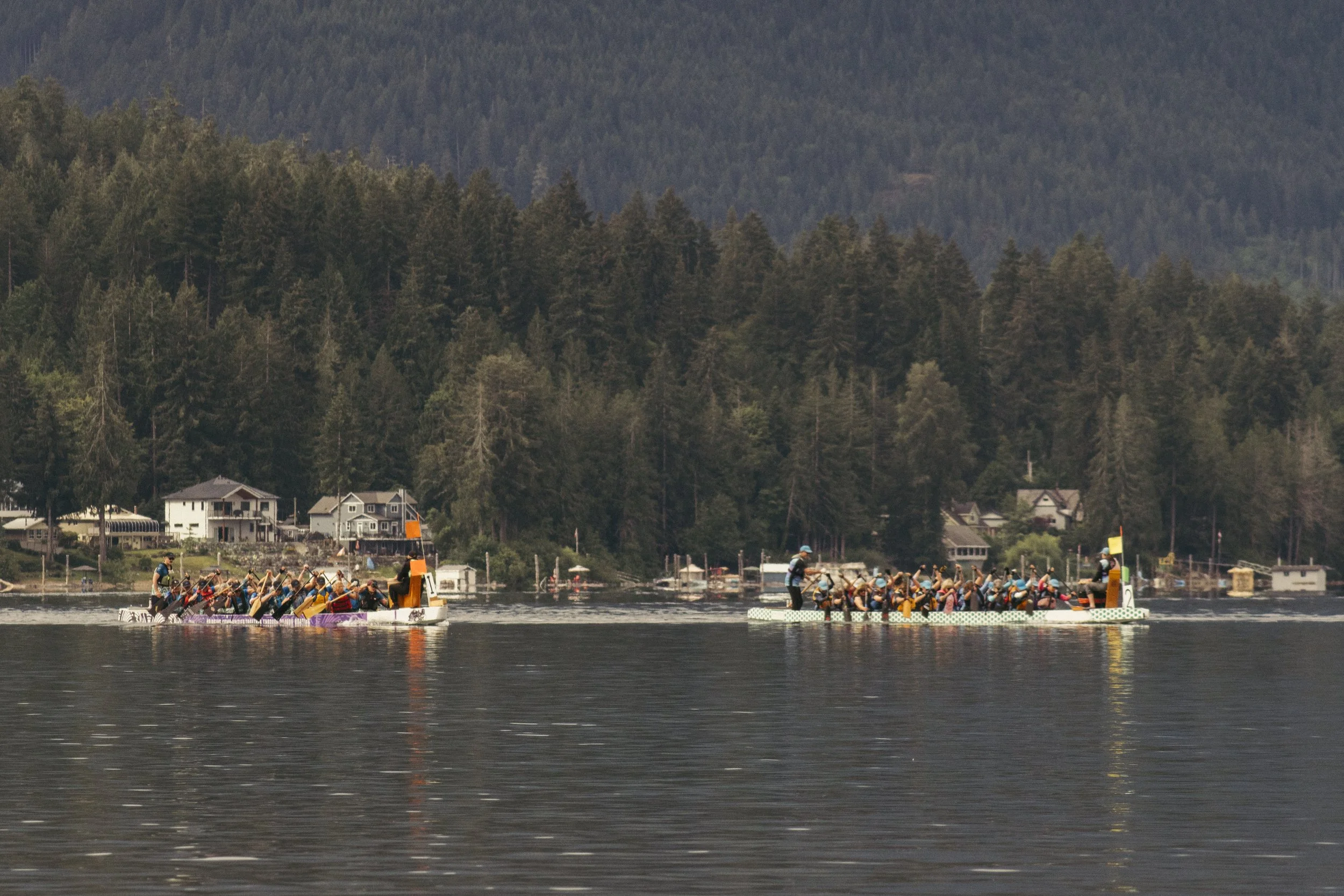 DSC08012.jpg