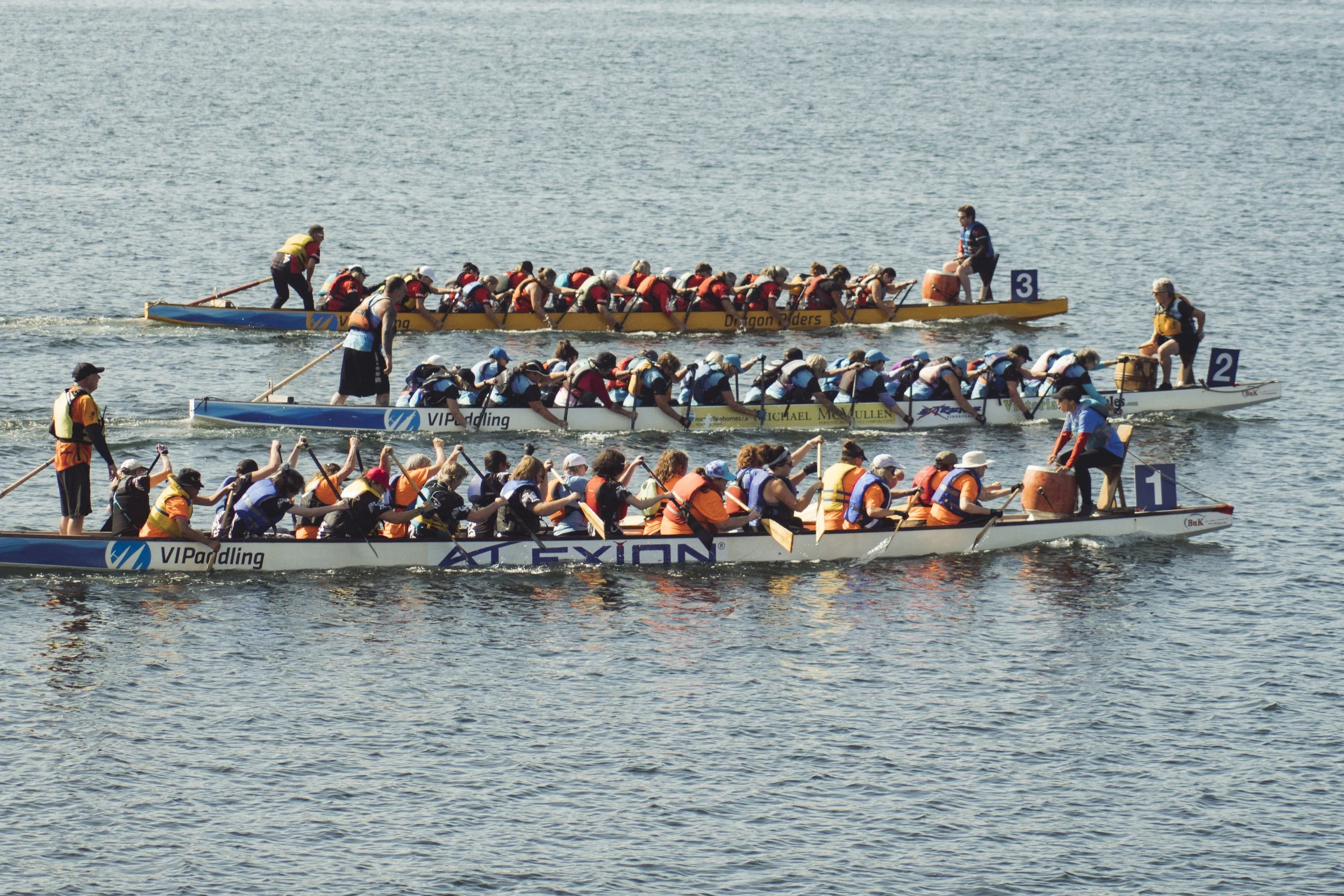 DSC08835.jpg