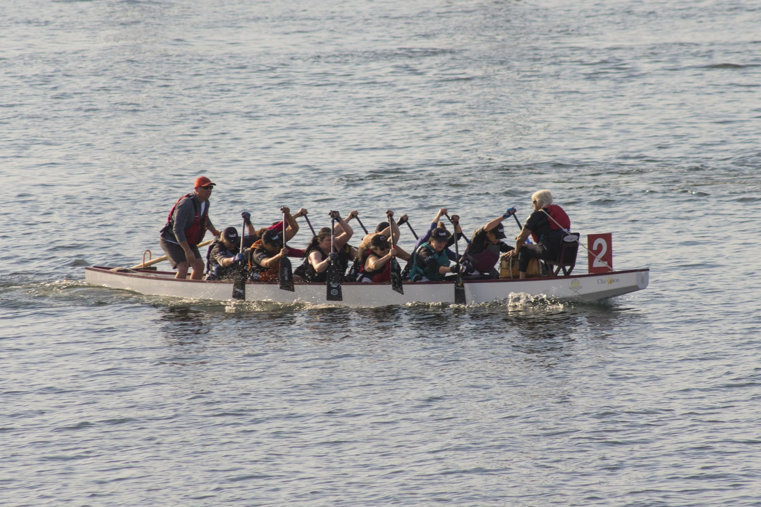 DSC08772.jpg