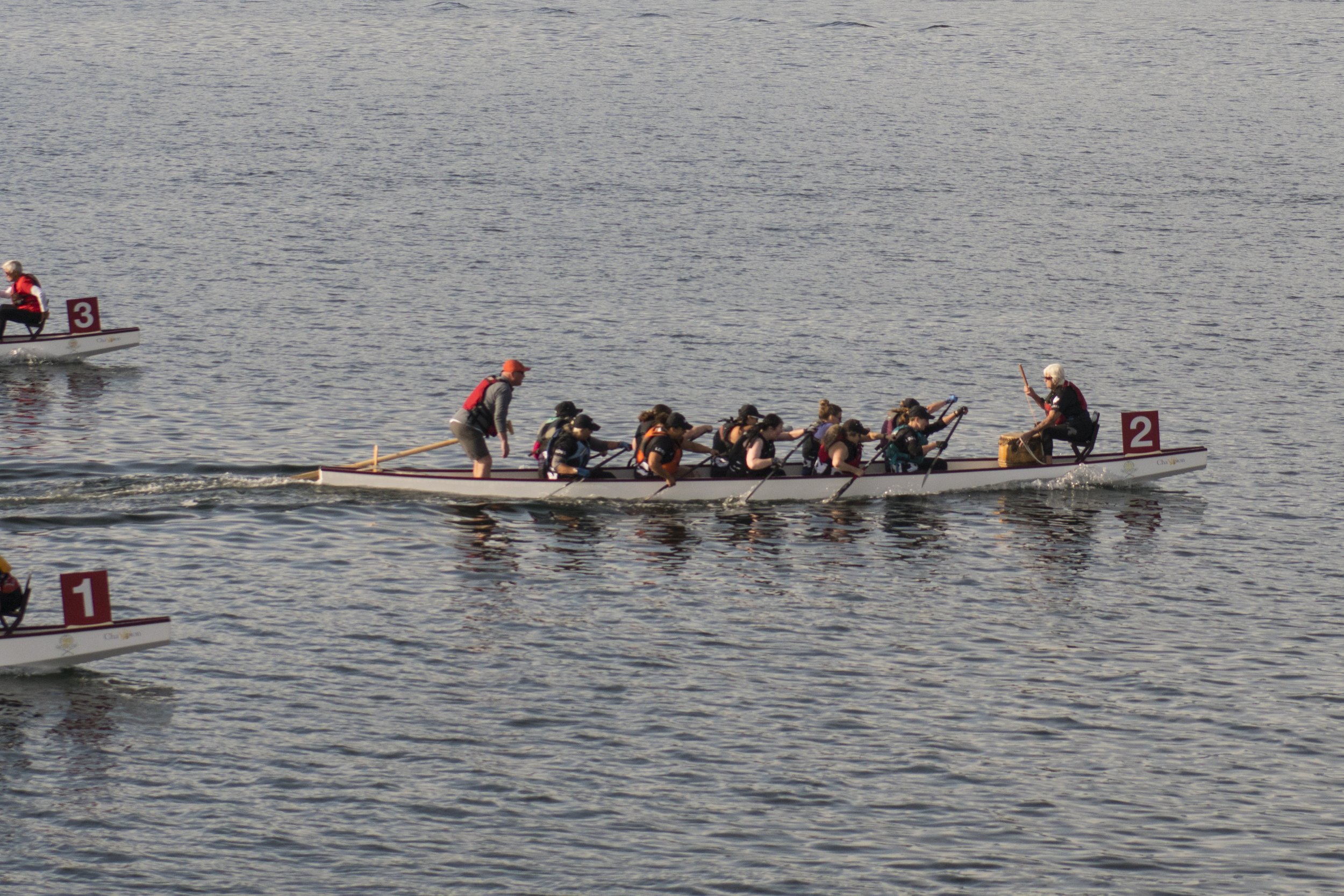 DSC08782.jpg