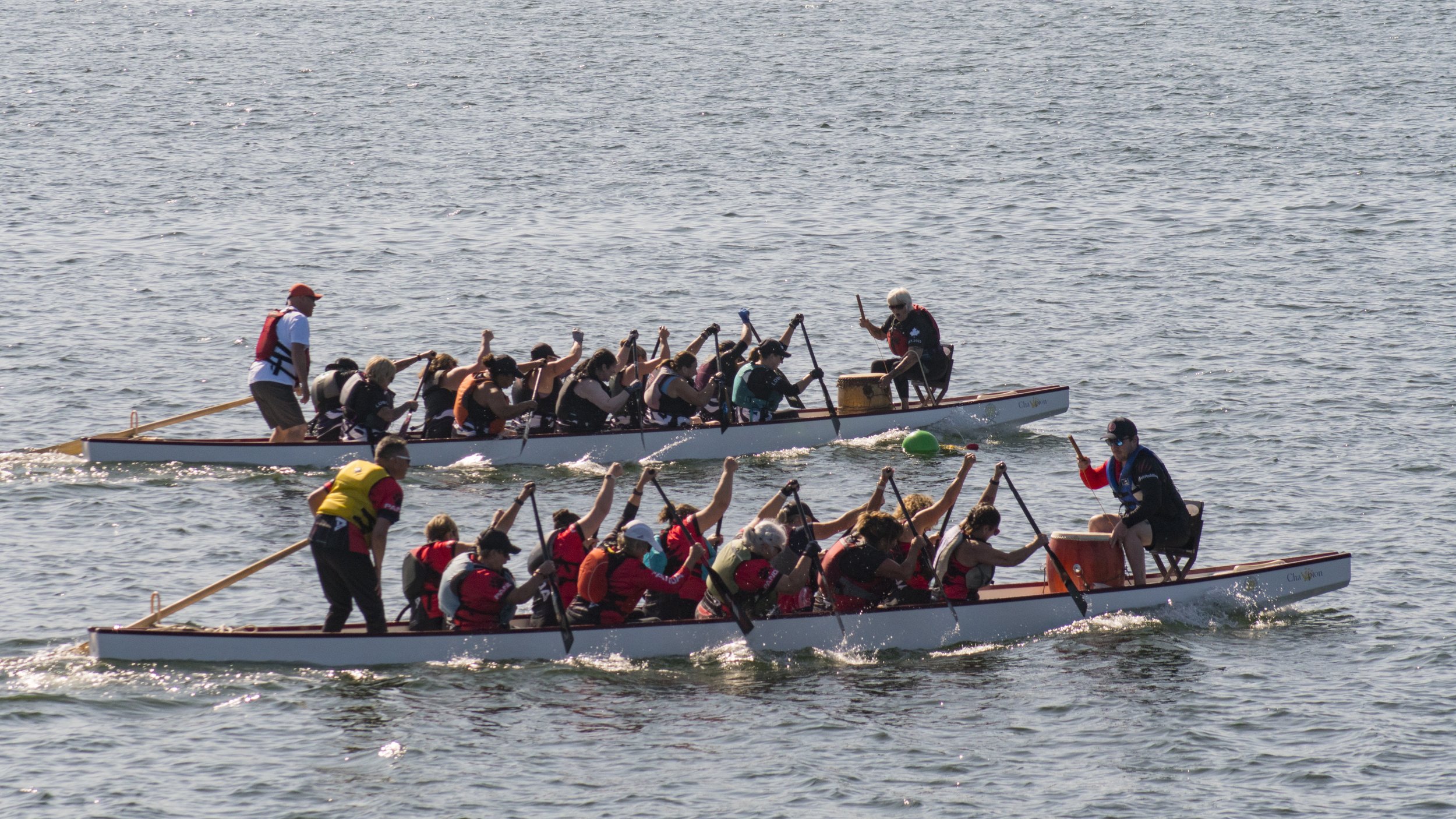 DSC08883.jpg