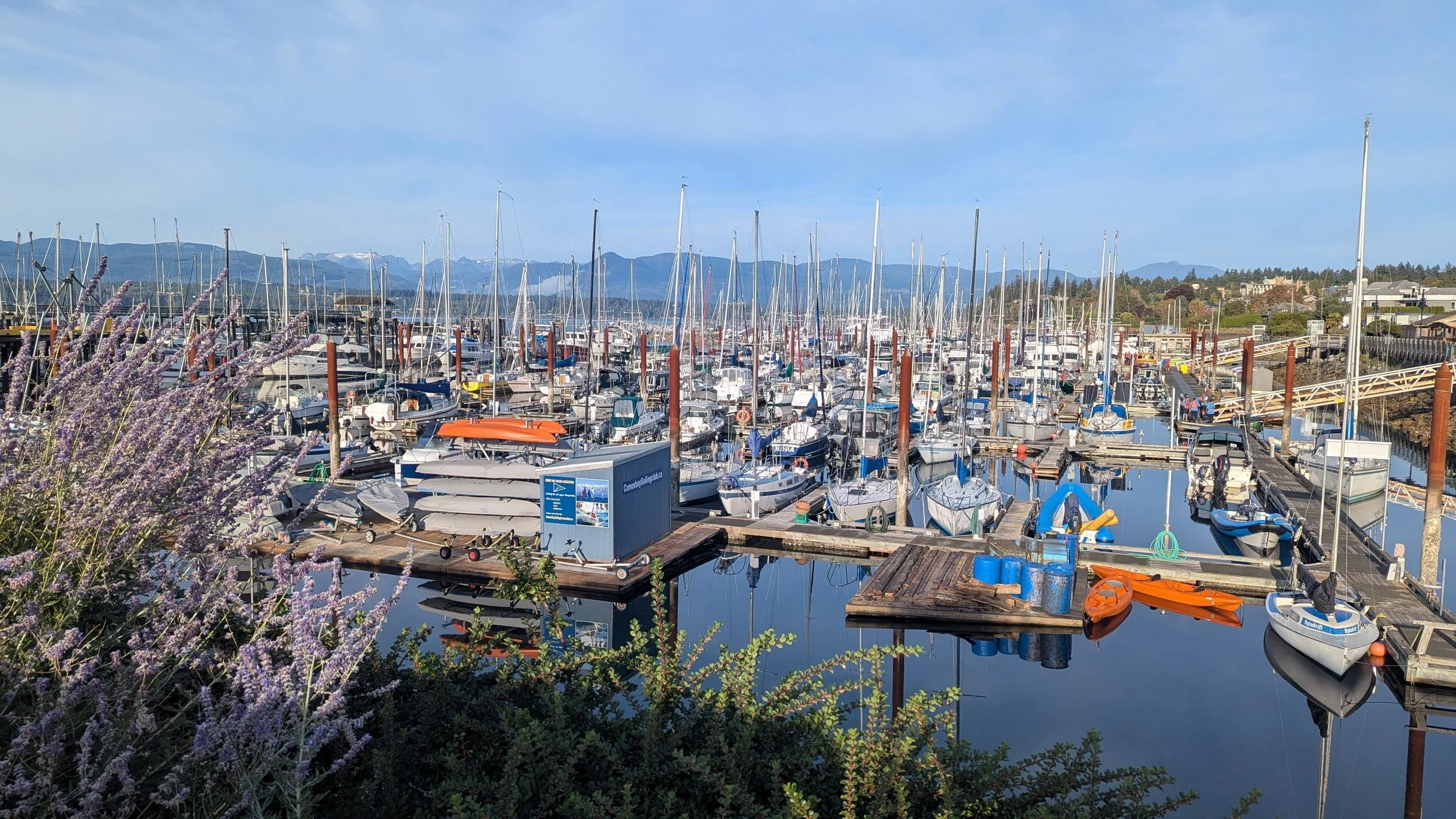Comox Harbour.jpg