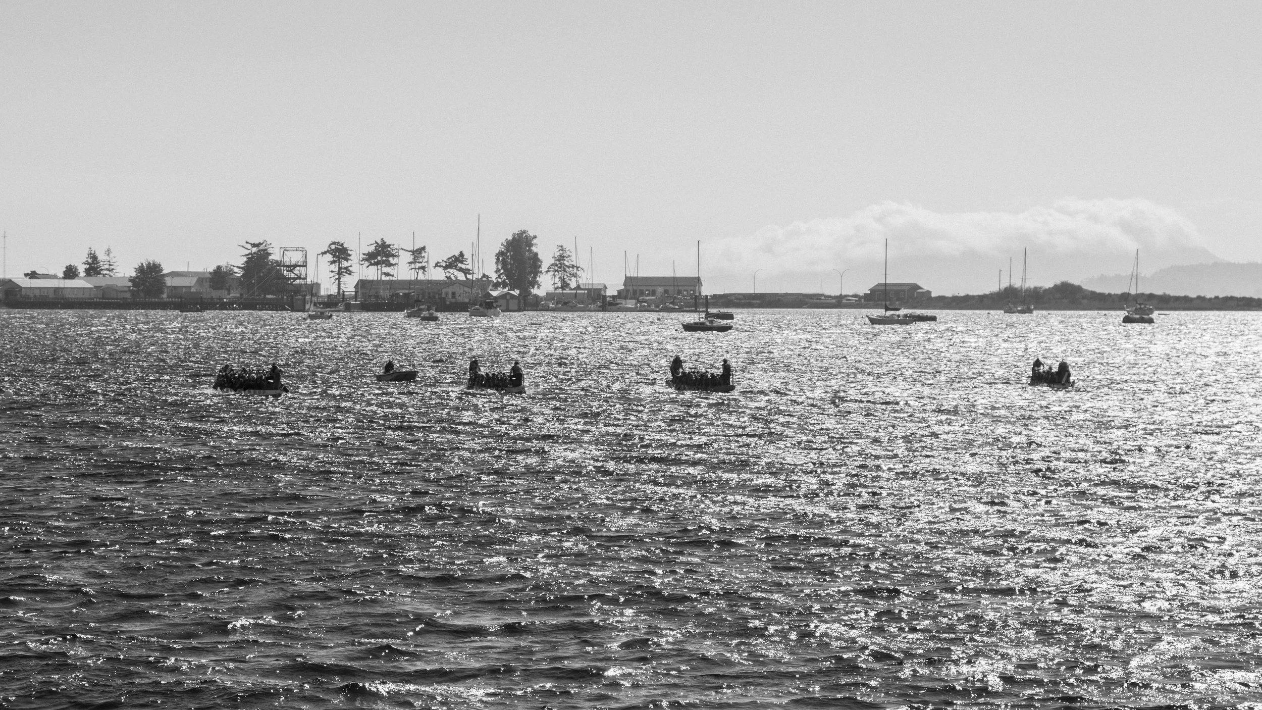DSC07036.jpg