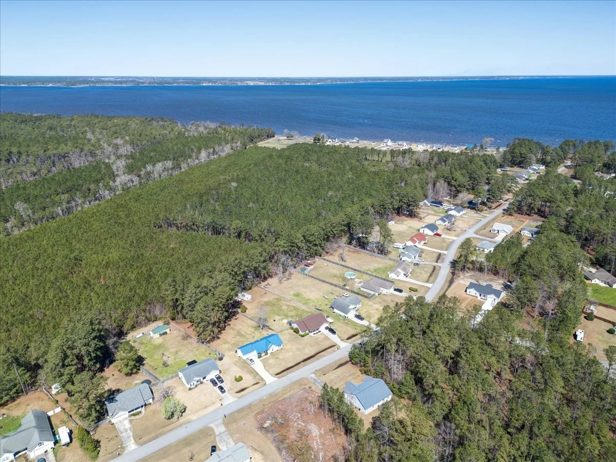 Aerial view of a residential neighborhood near a large body of water, with houses, roads, and a forested area.