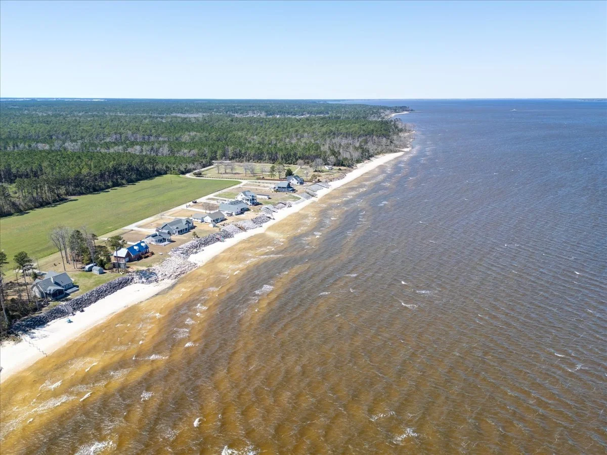Aerial view of a coastal area with a row of houses along the beach, rocky shoreline, and dense forest in the background.