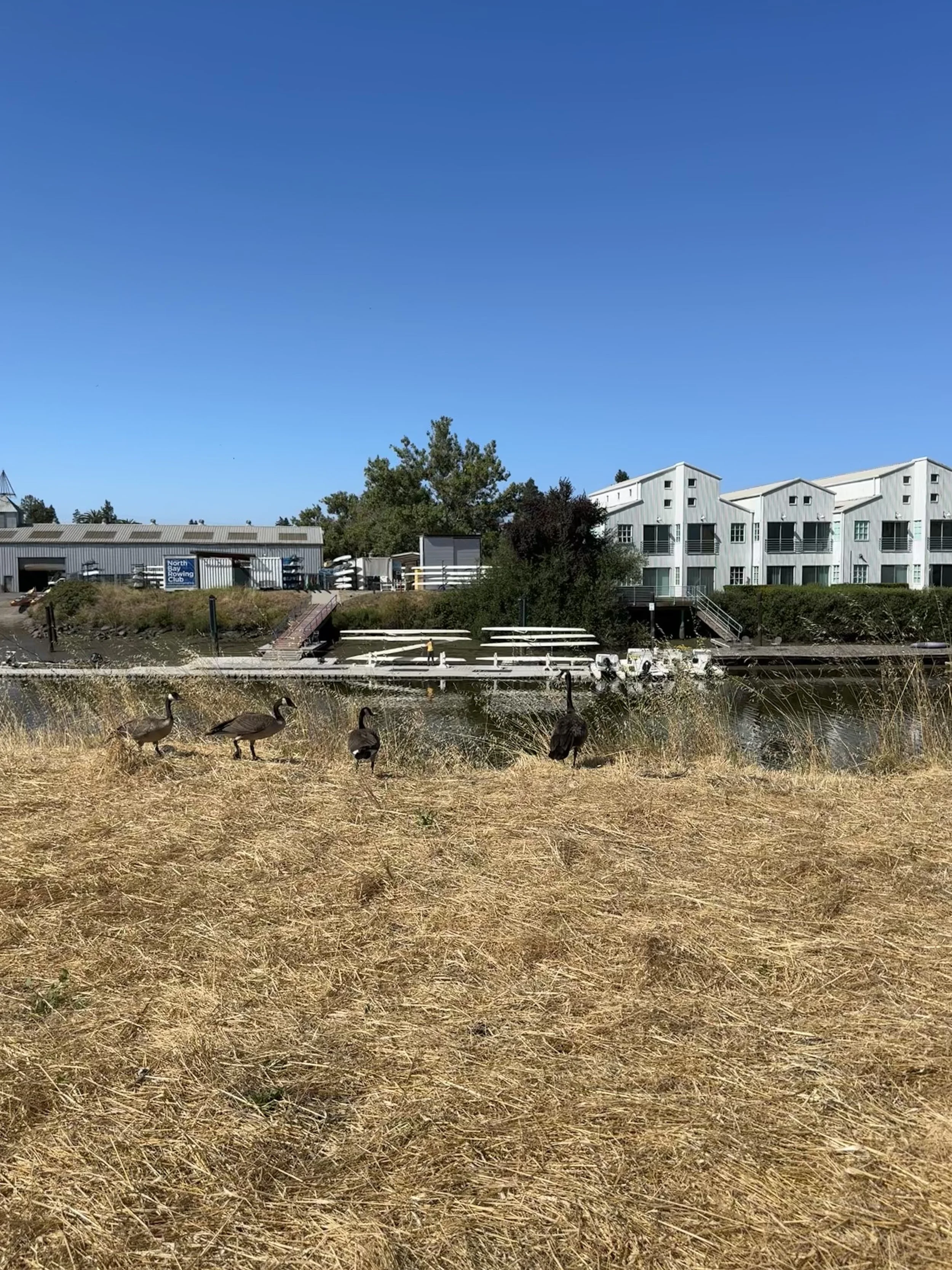 RIVER PARK WALK