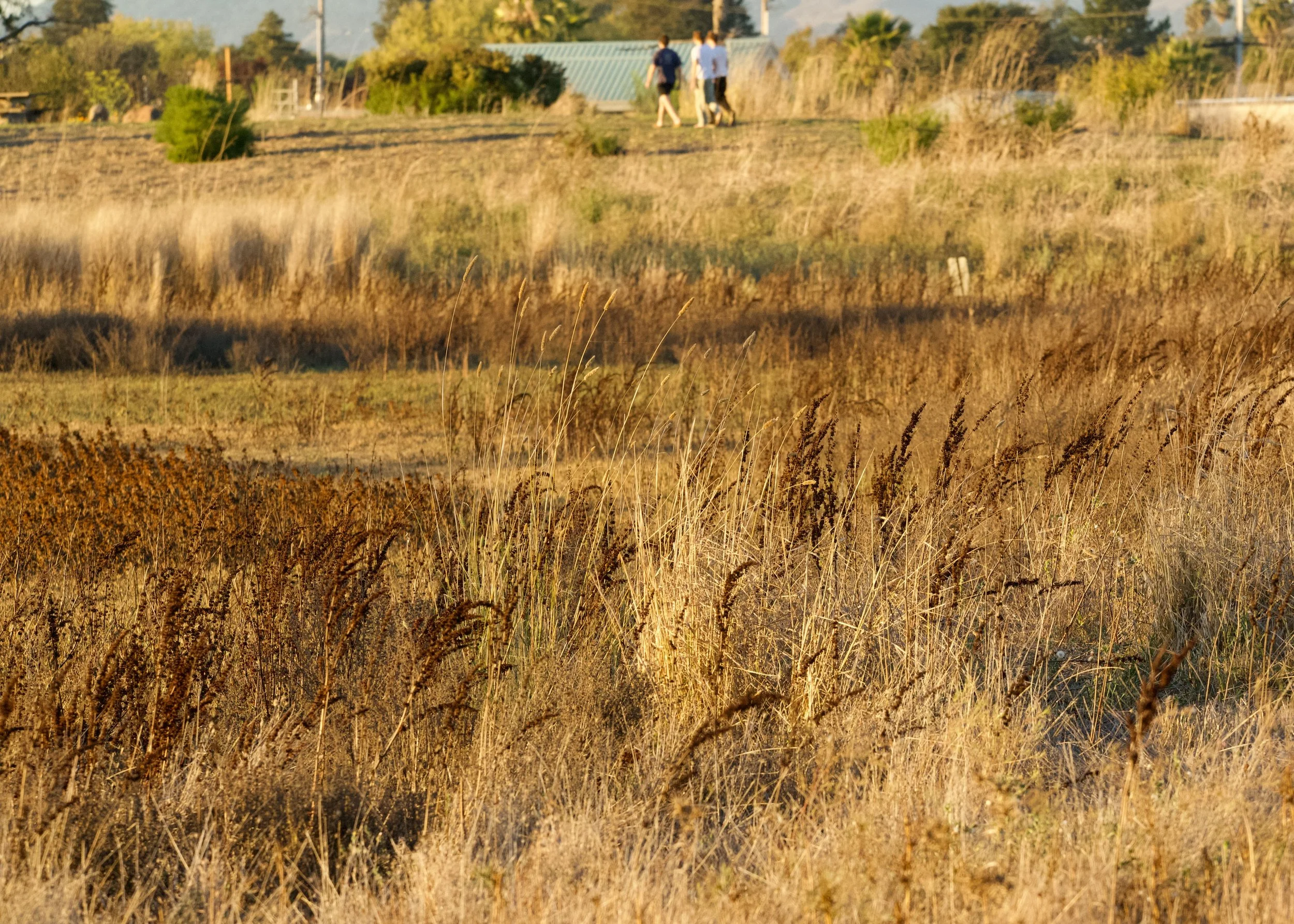 RIVER PARK WALK
