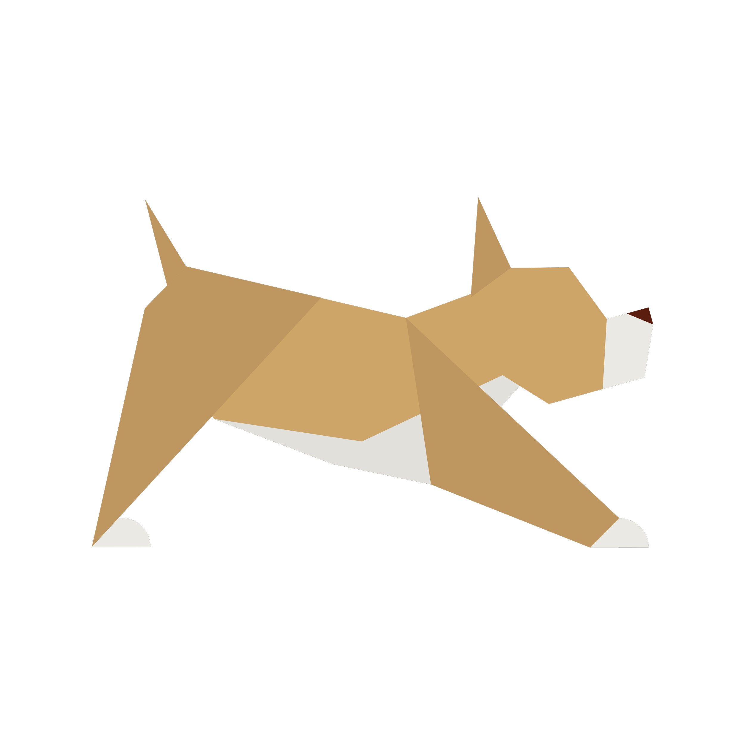 Kids-cups_Dog-streatching.png