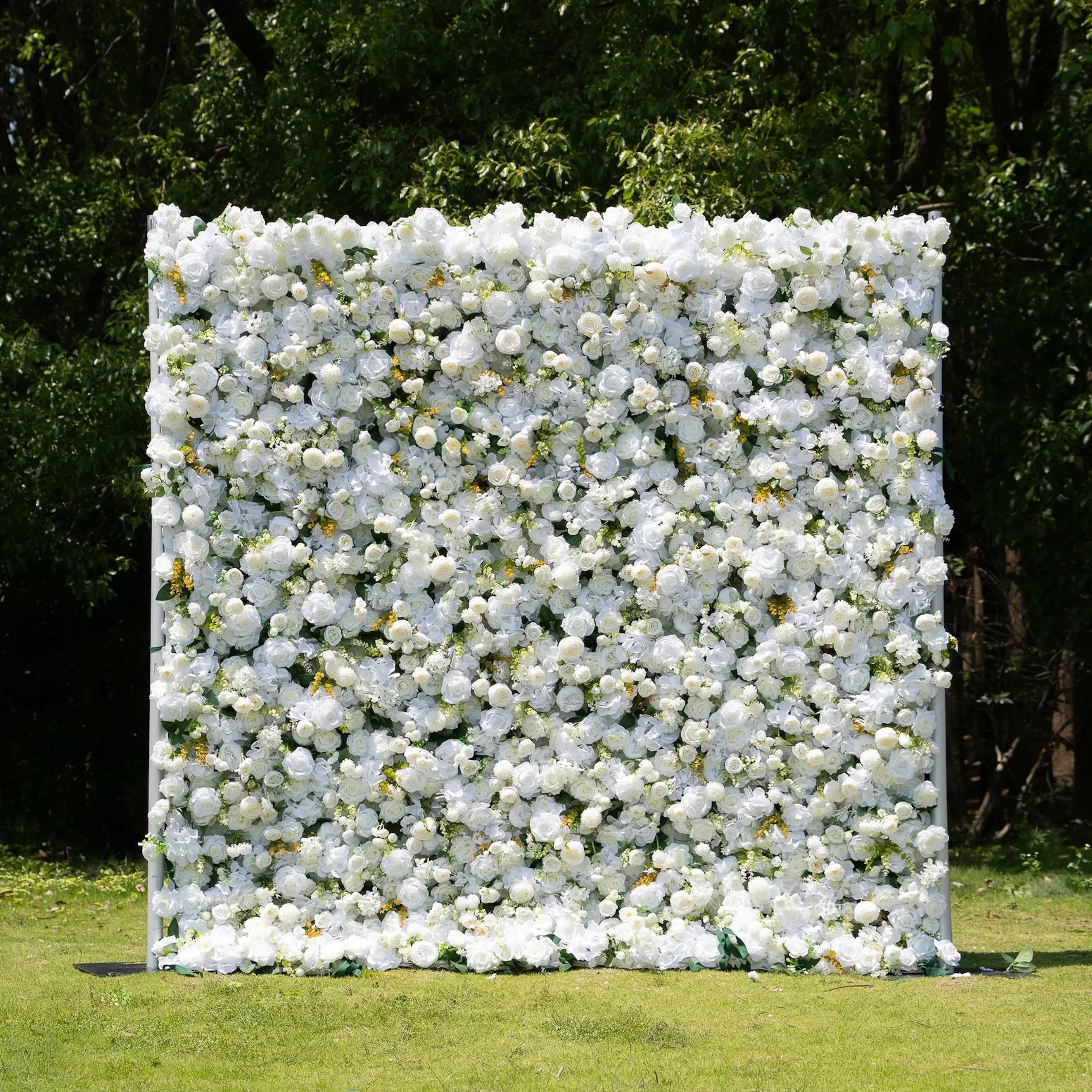 Screenshot 2025-06-13 at 12.55.02 PM.jpg