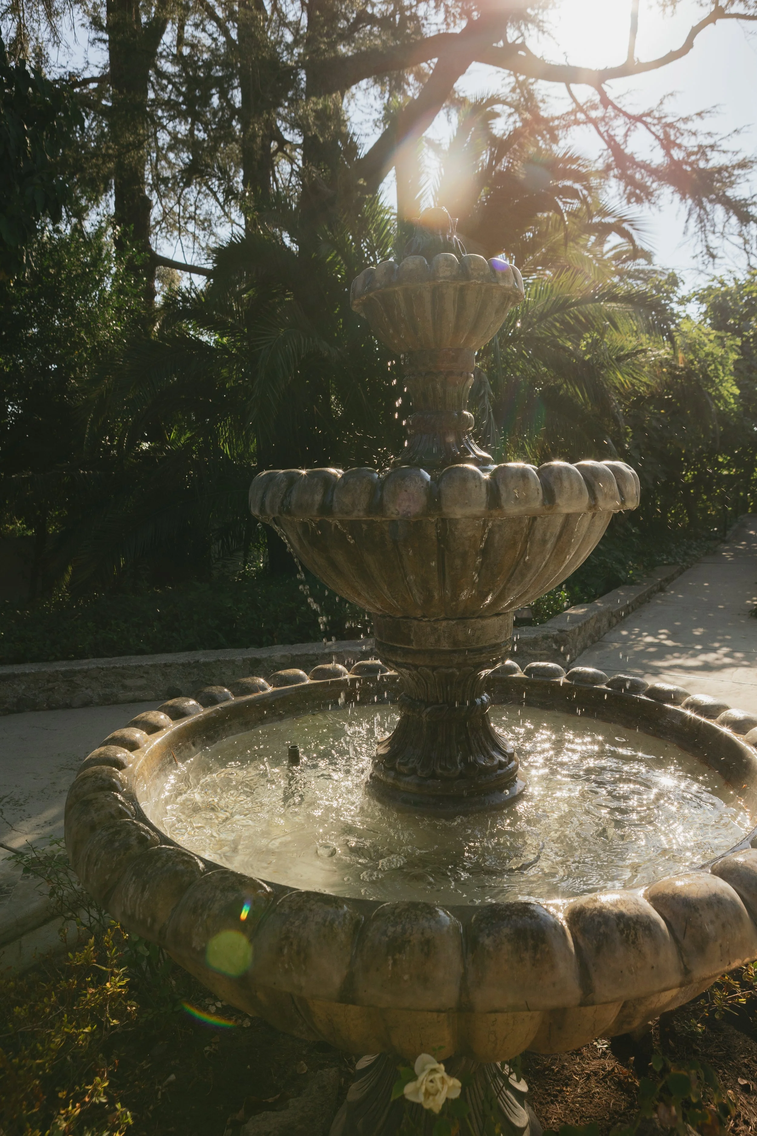 Carissa + Gabe_-241.jpg