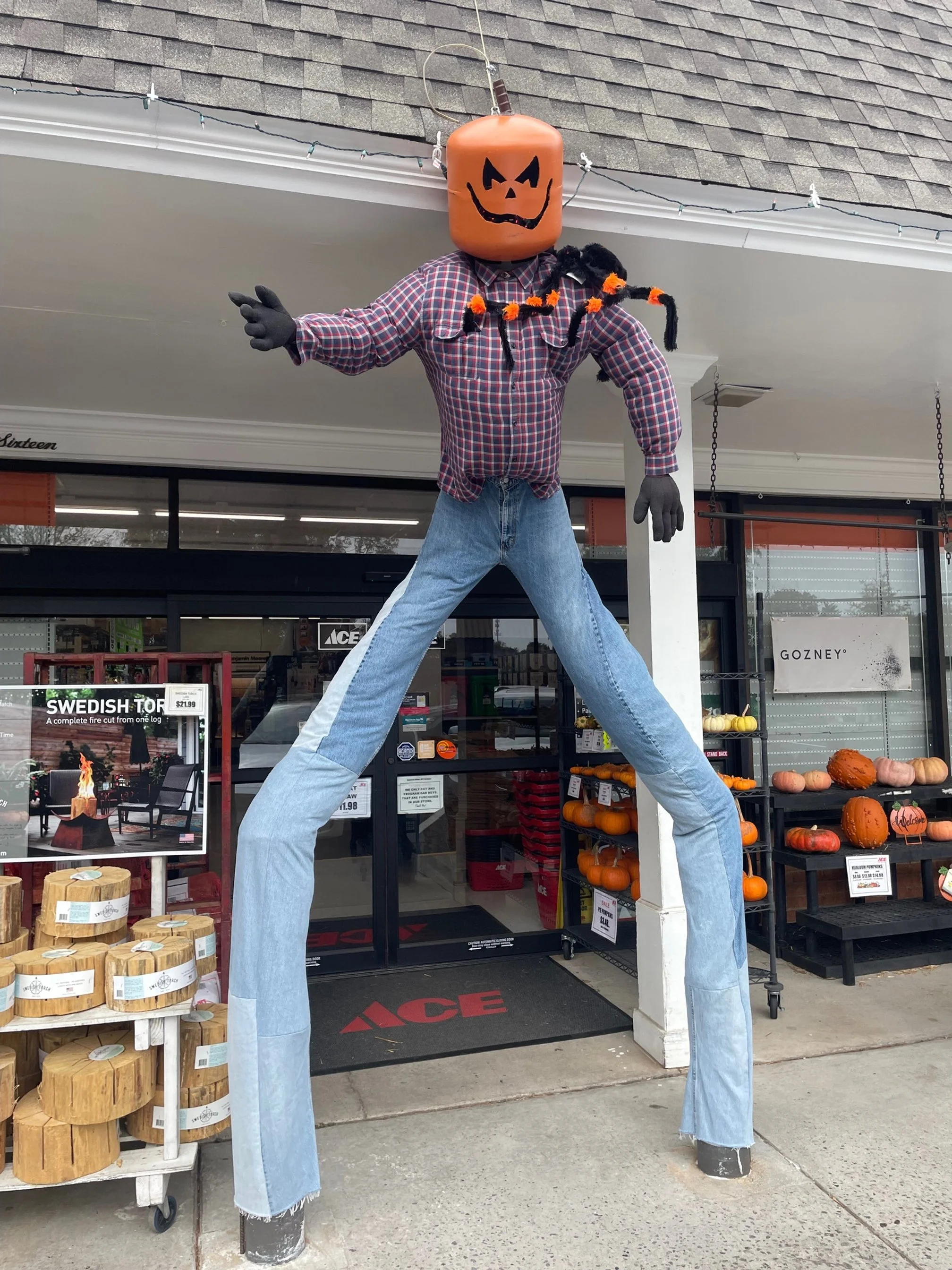 Ace Hardware