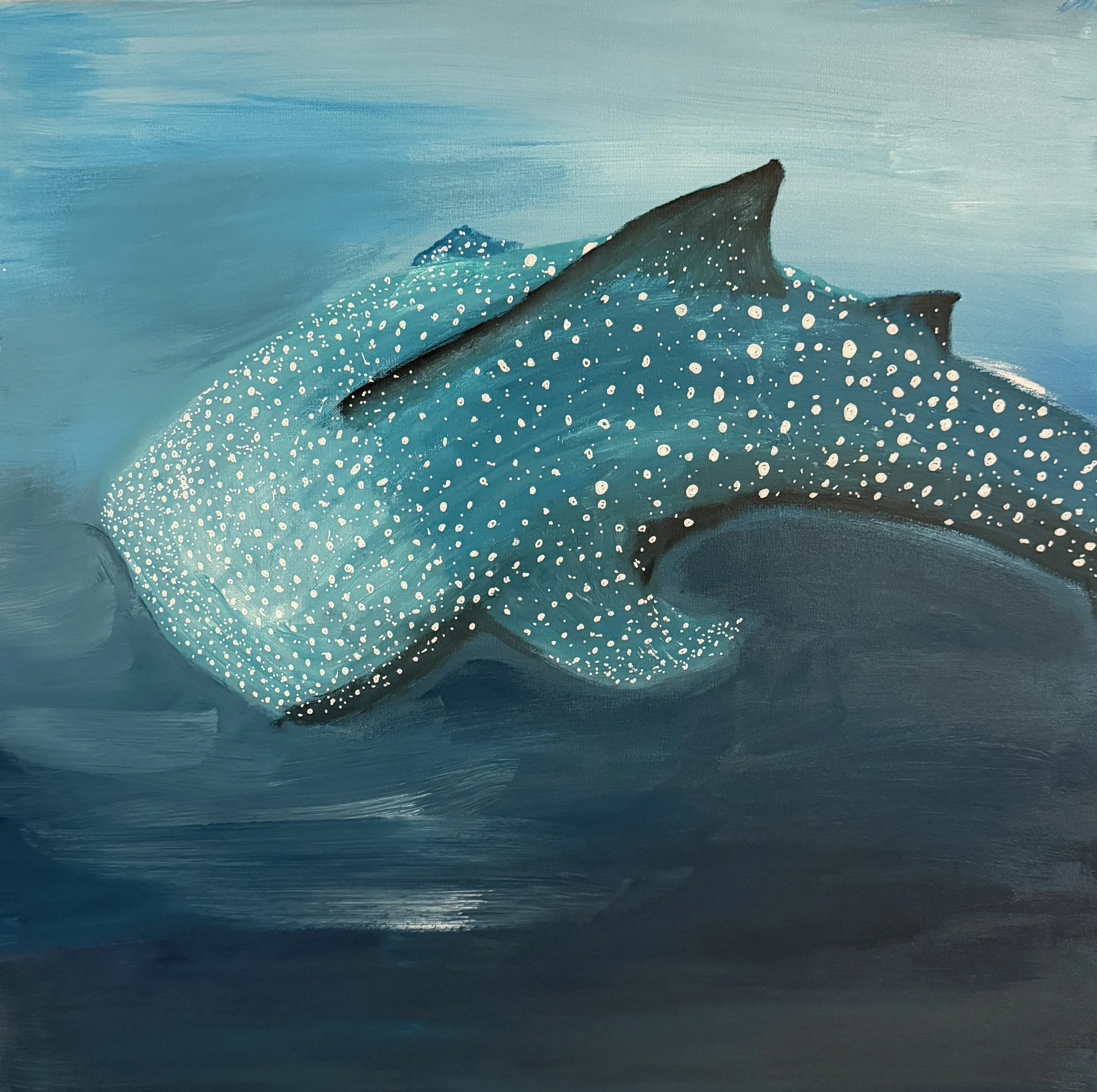 2026 Artist: Adelyn Johnston  Artwork: Taroko was originally headed for food markets but was rescued and brought to the Georgia Aquarium, where he lived for nearly 20 years and helped people learn about whale sharks and ocean conservation. I created 