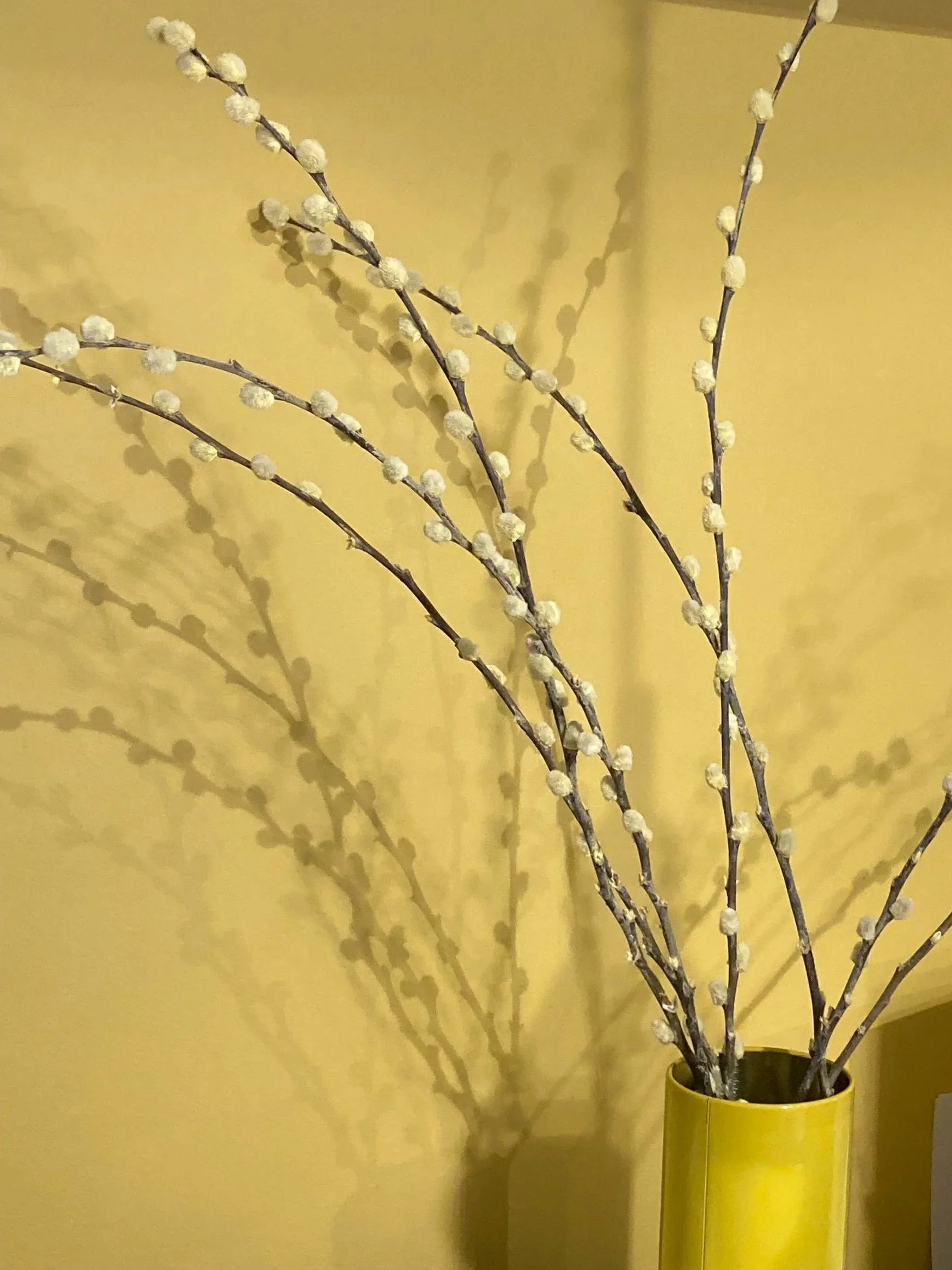 InteriorYellowWall