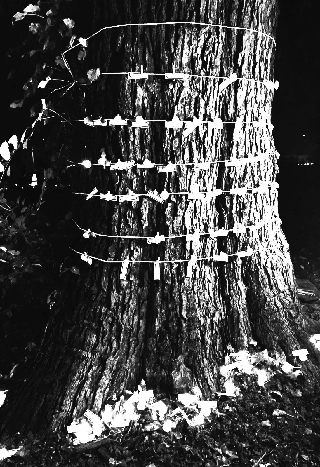 Ancestor names wrapped around a large old tree with candlelight at the base