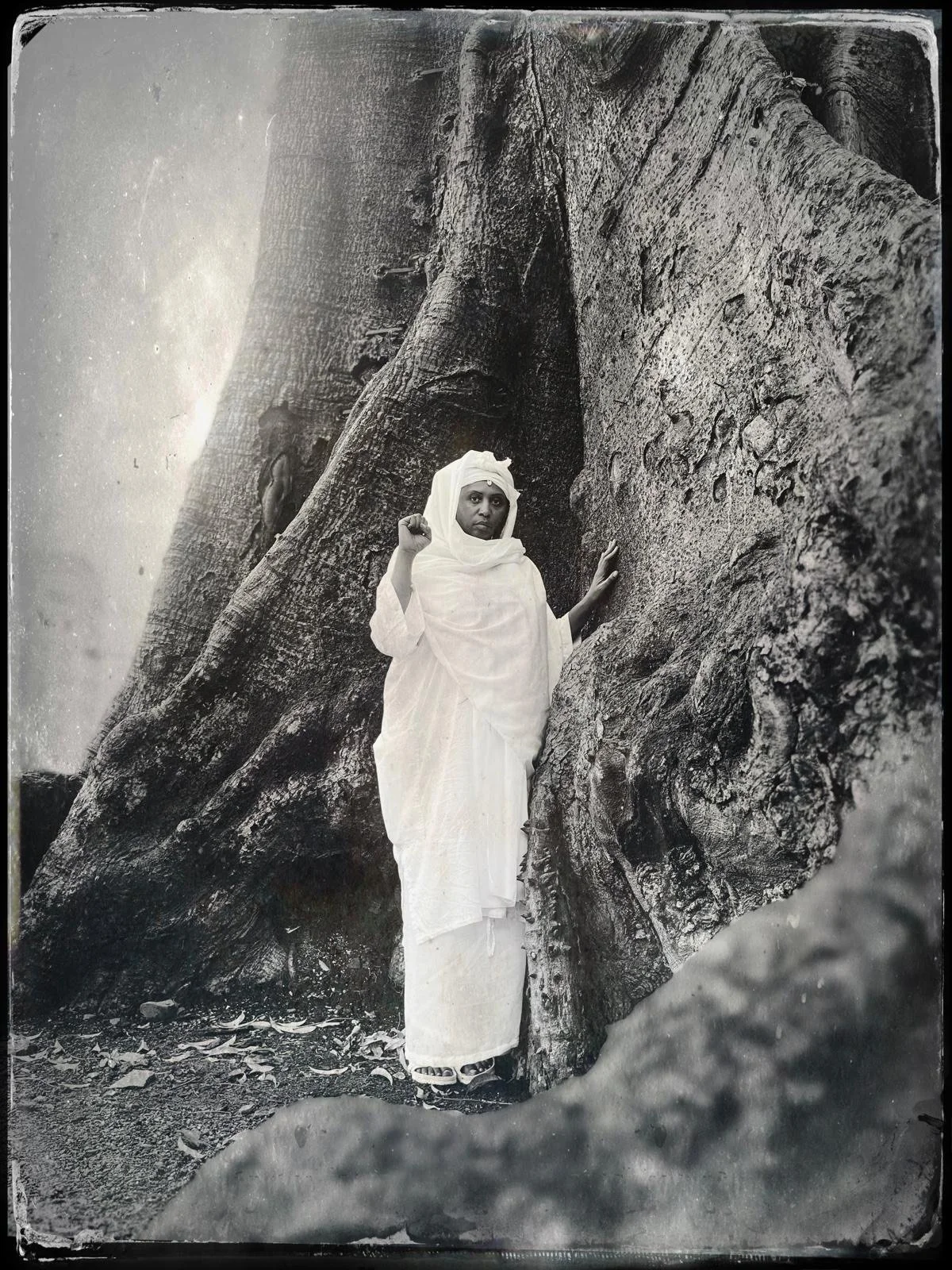 Free Bangura Sama wearing all-white chieftaincy initiation garments standing at the base of the iconic Cotton Tree in Freetown, Sierra Leone