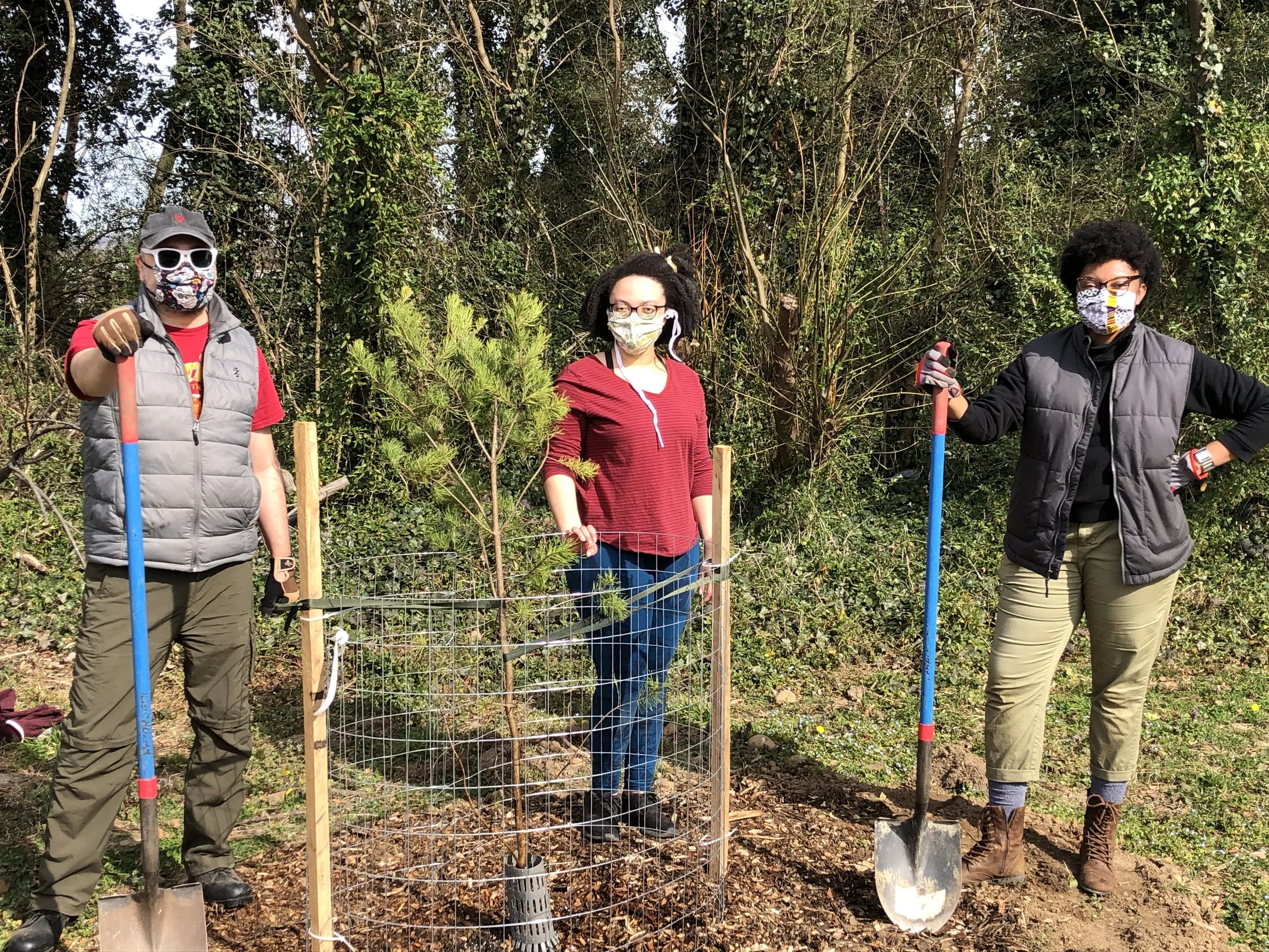 Volunteers plant a tree at Swansboro Playground.