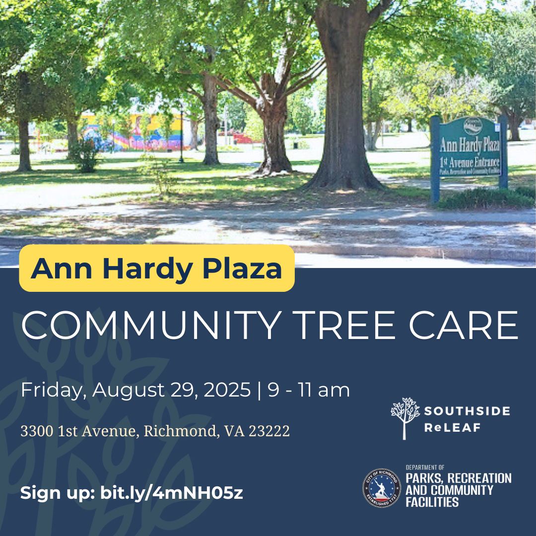 Community Tree Care at Ann Hardy Plaza