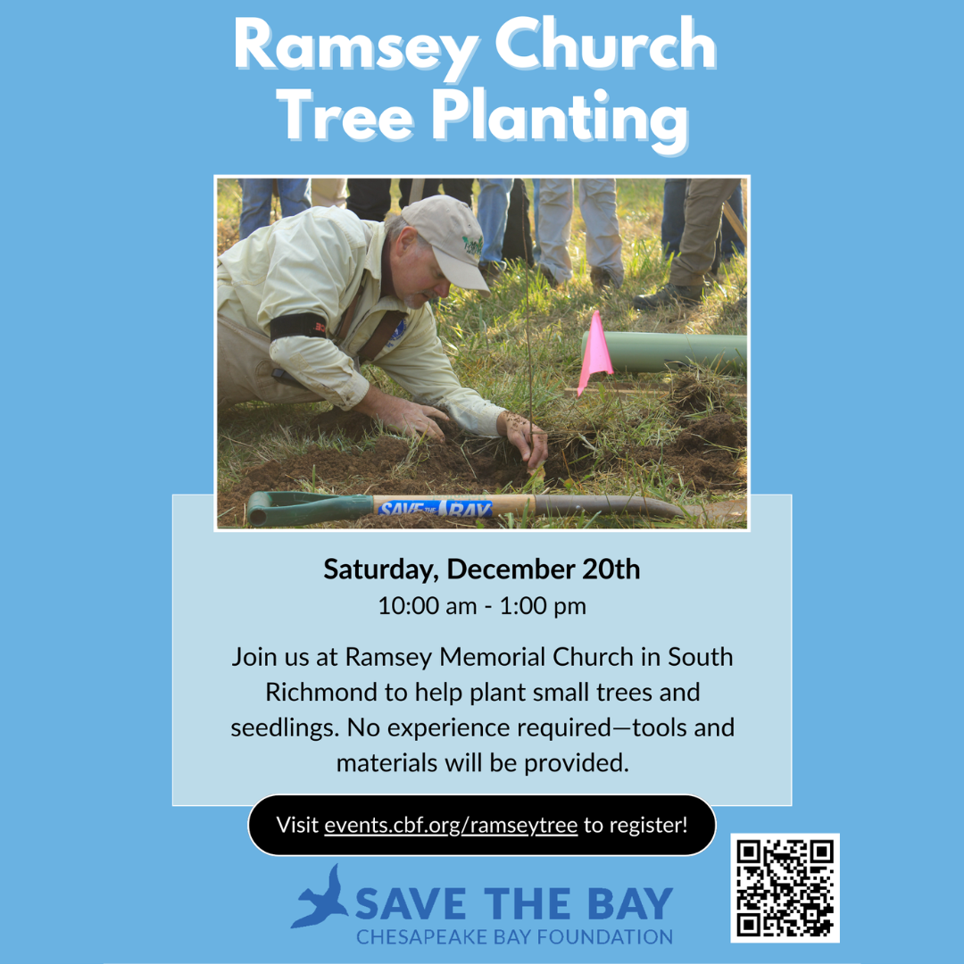 Ramsey Church Tree Planting