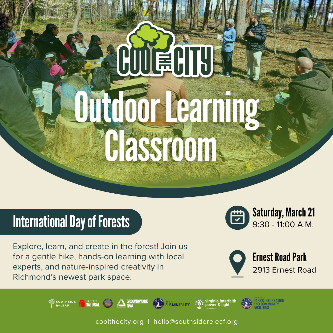 International Day of Forests Outdoor Learning Classroom
