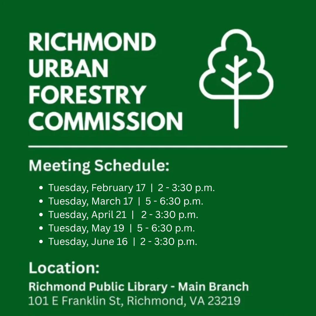 Urban Forestry Commission - February Meeting