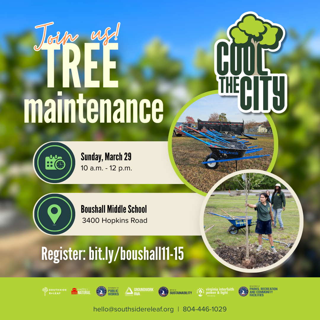 Boushall Middle School Tree Maintenance Workday